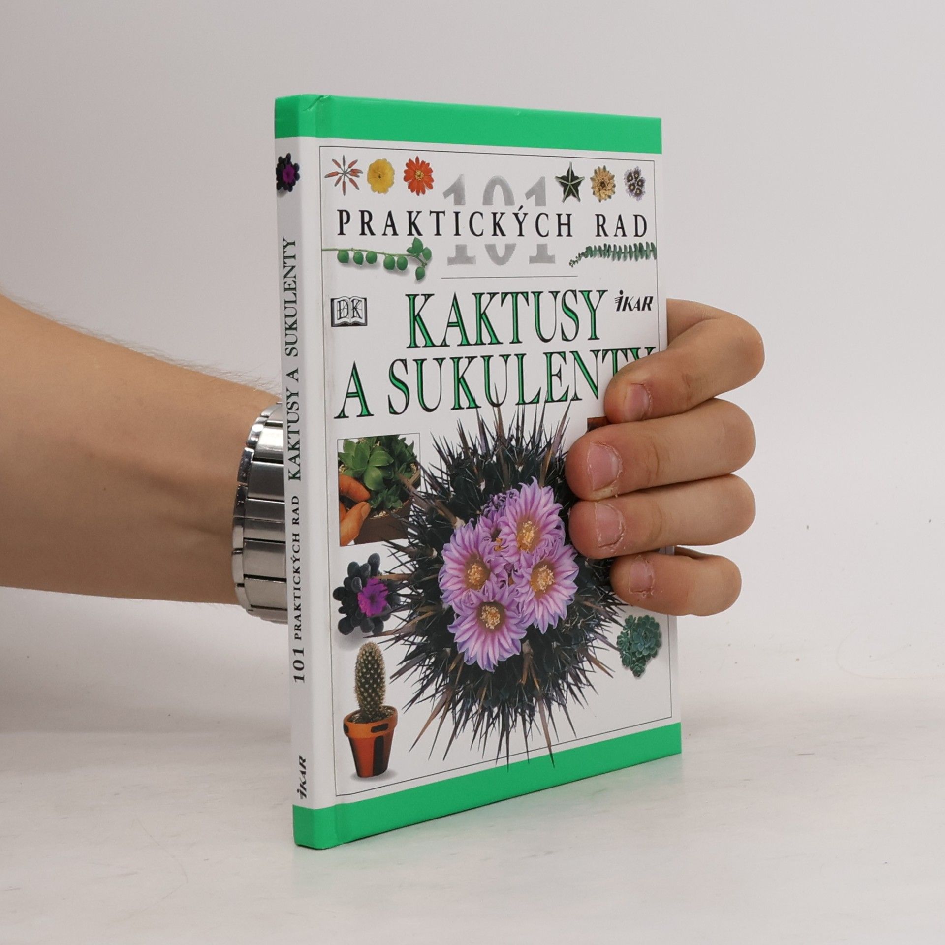Terry Hewitt Kaktusy a sukulenty
