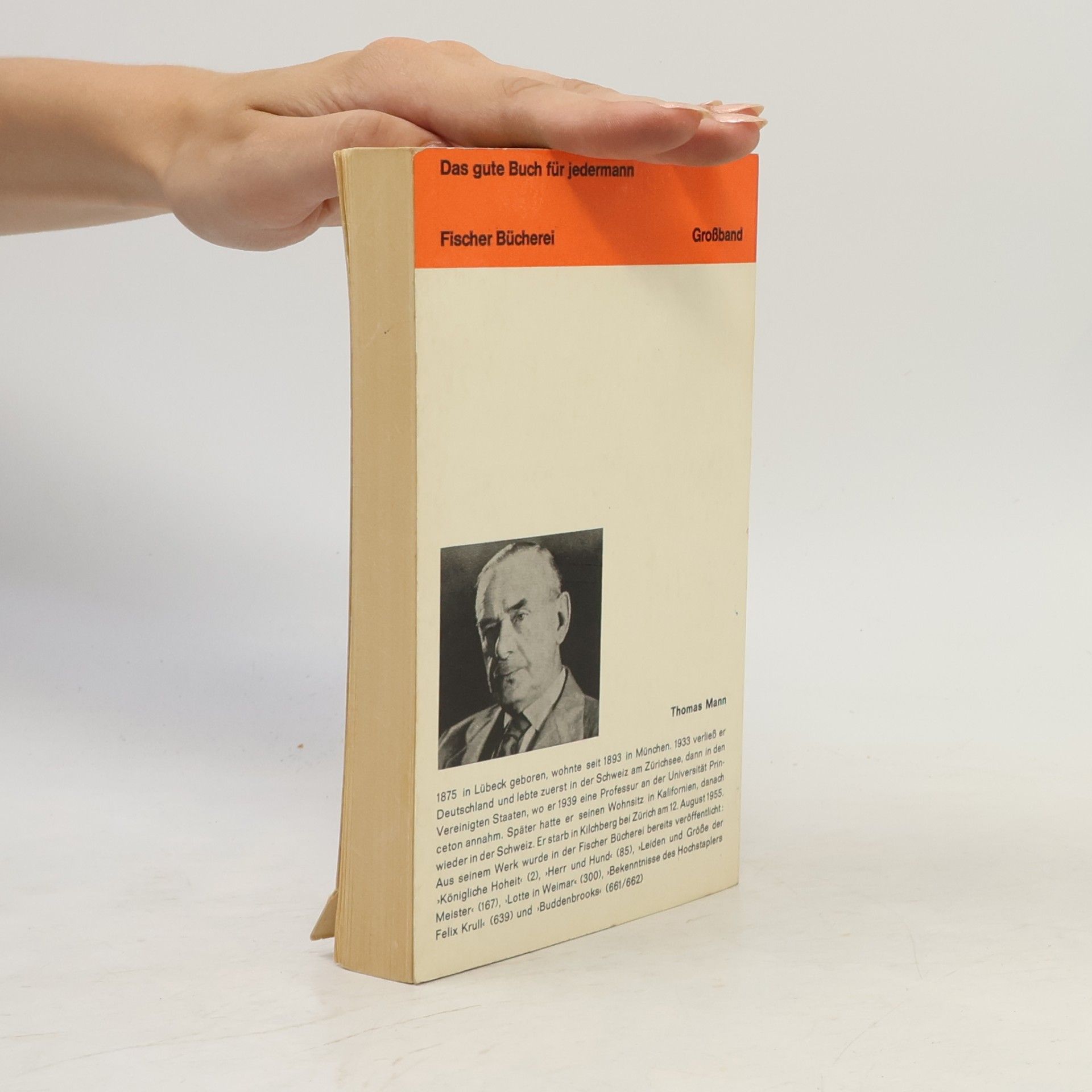 Thomas Mann Der Tod in Venedig