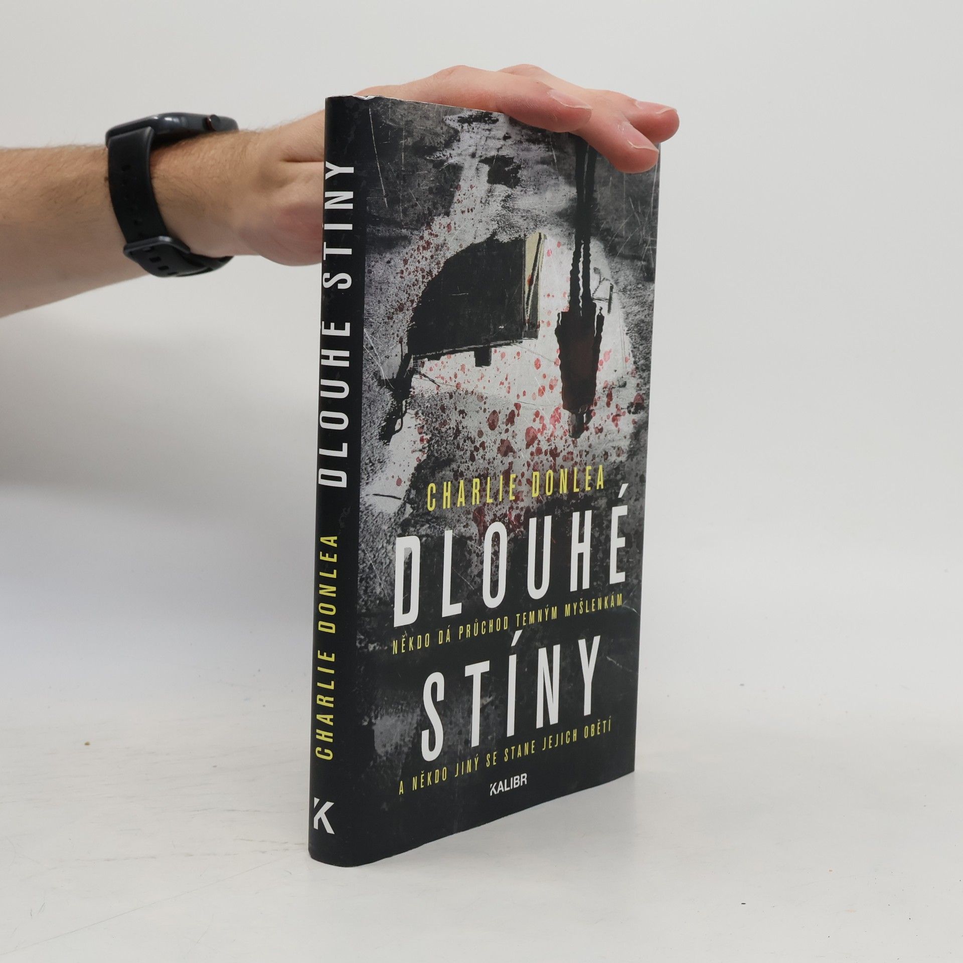 Charlie Donlea Dlouhé stíny