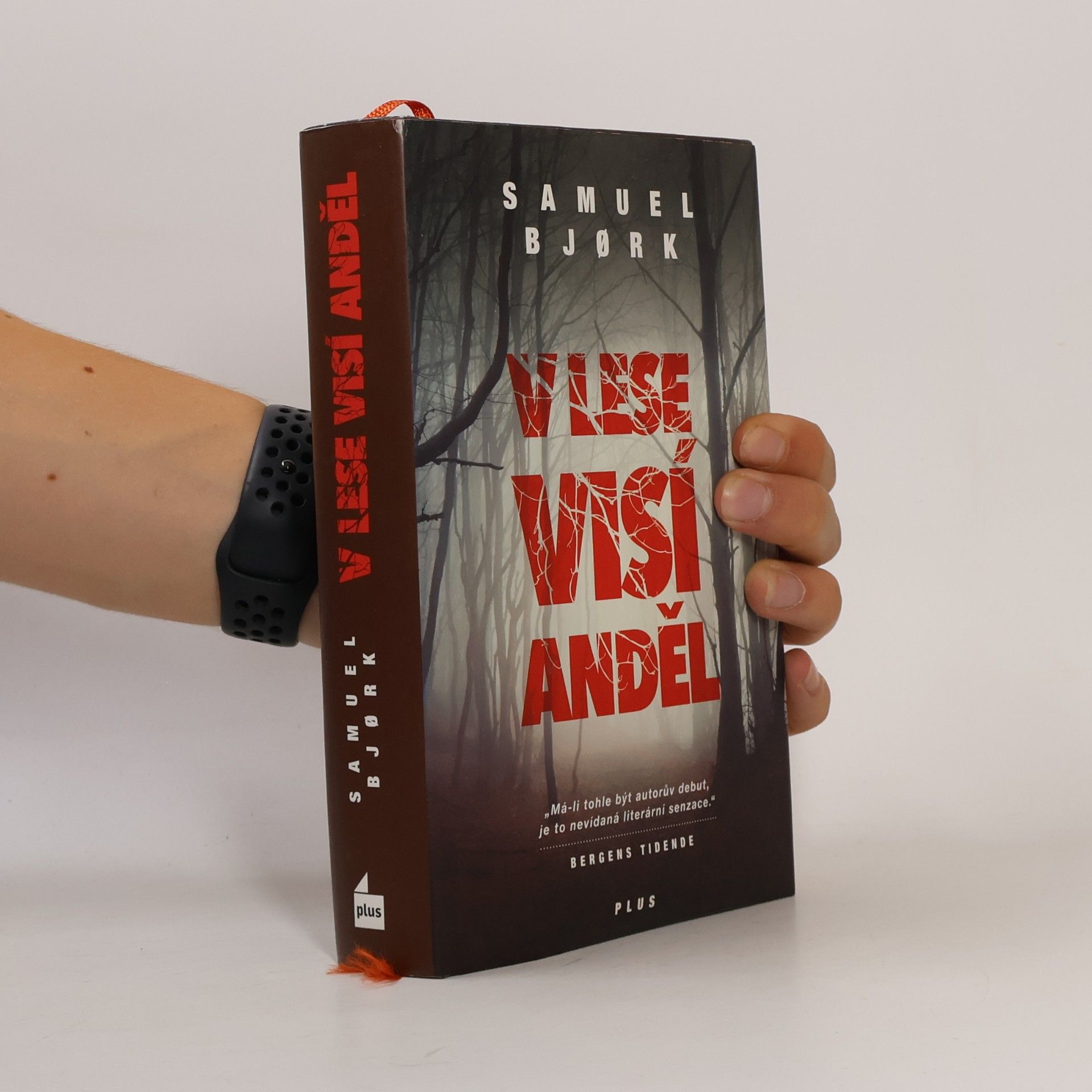 Samuel Bjork V lese visí anděl