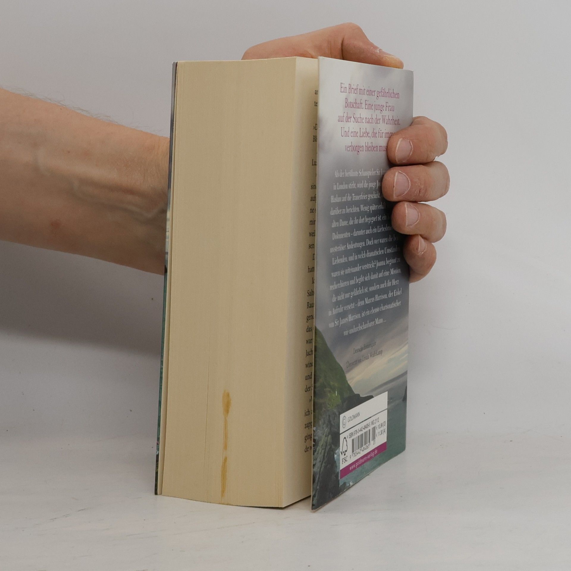 Lucinda Riley Der Verbotene Liebesbrief