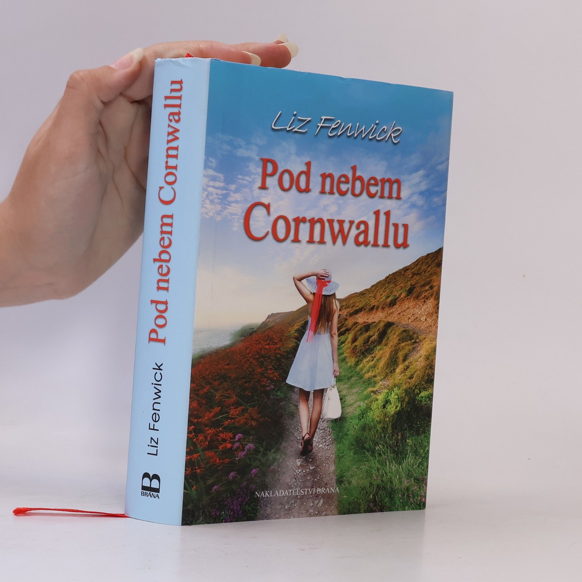 Liz Fenwick Pod nebem Cornwallu