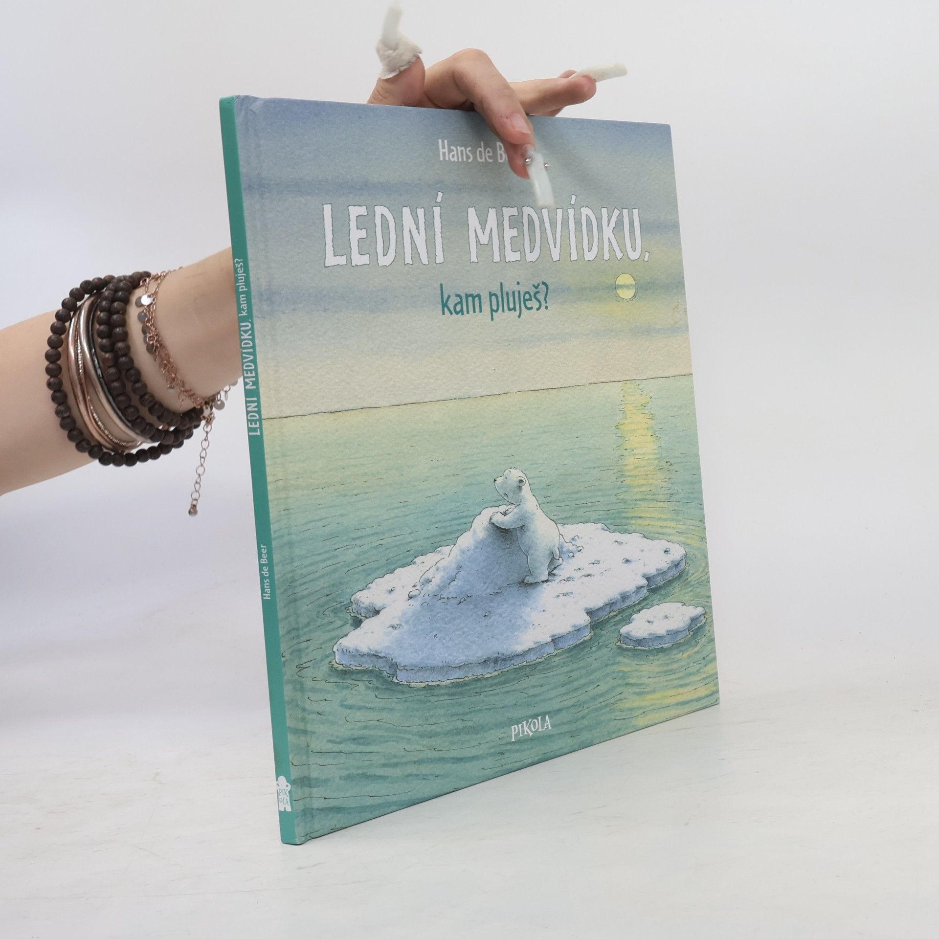 Hans de Beer Lední medvídku, kam pluješ?