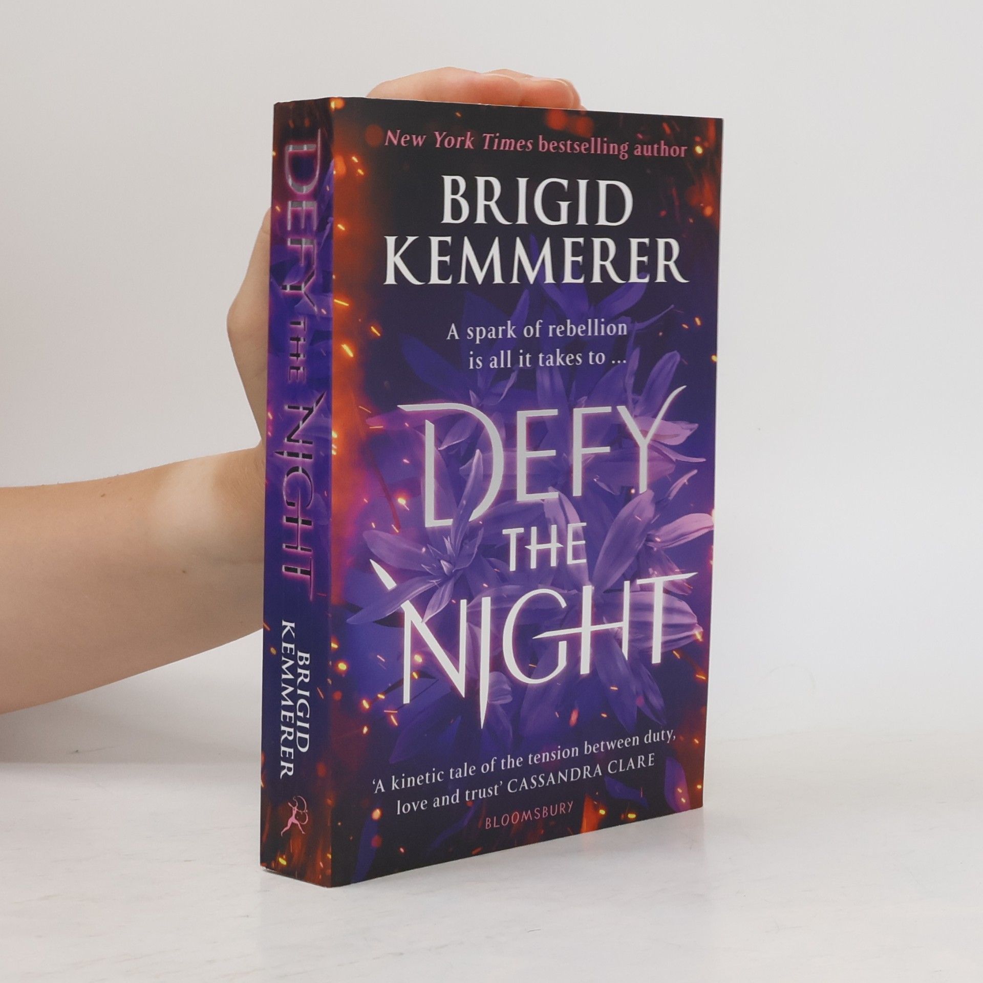 Brigid Kemmerer Defy The Night