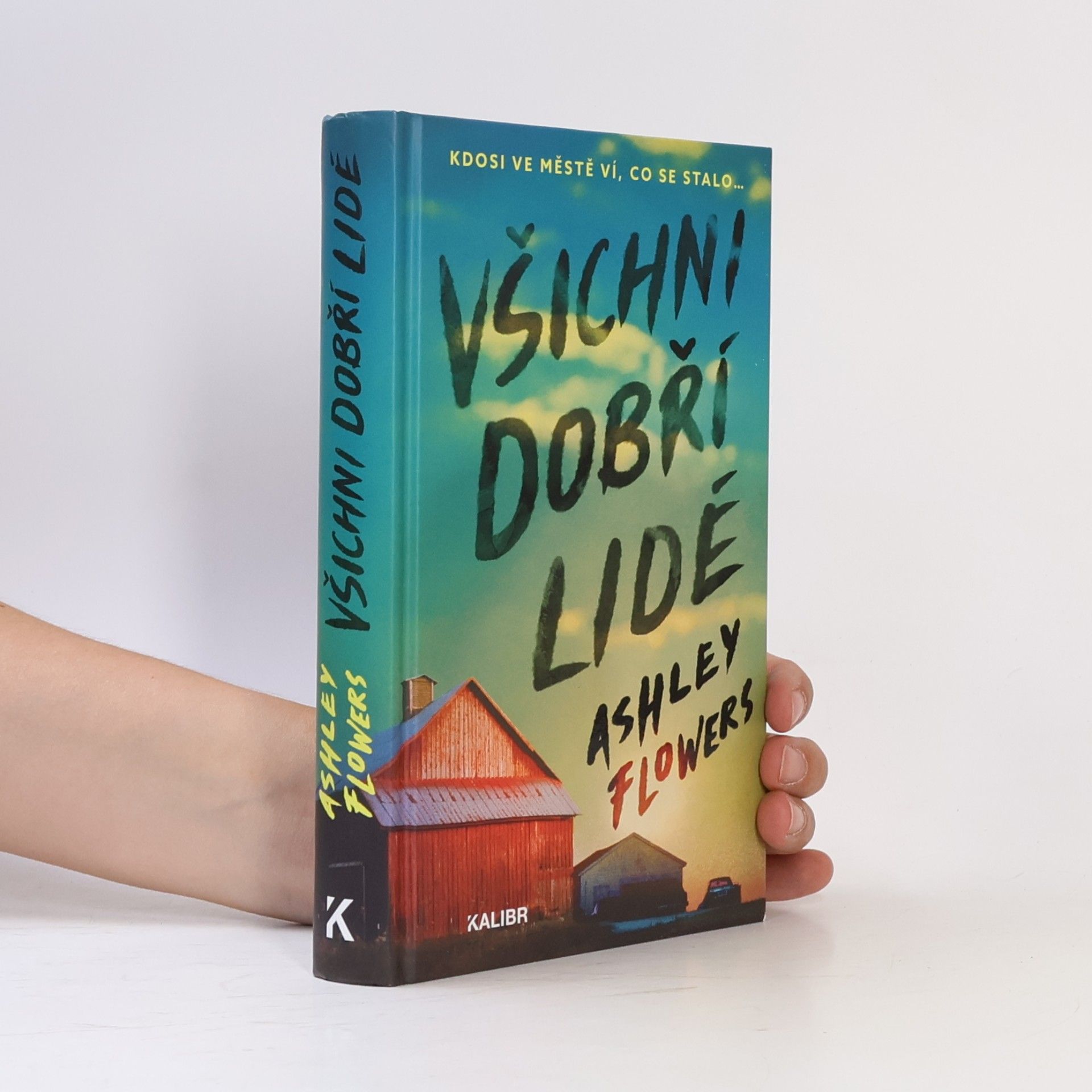 Ashley Flowers Všichni dobří lidé