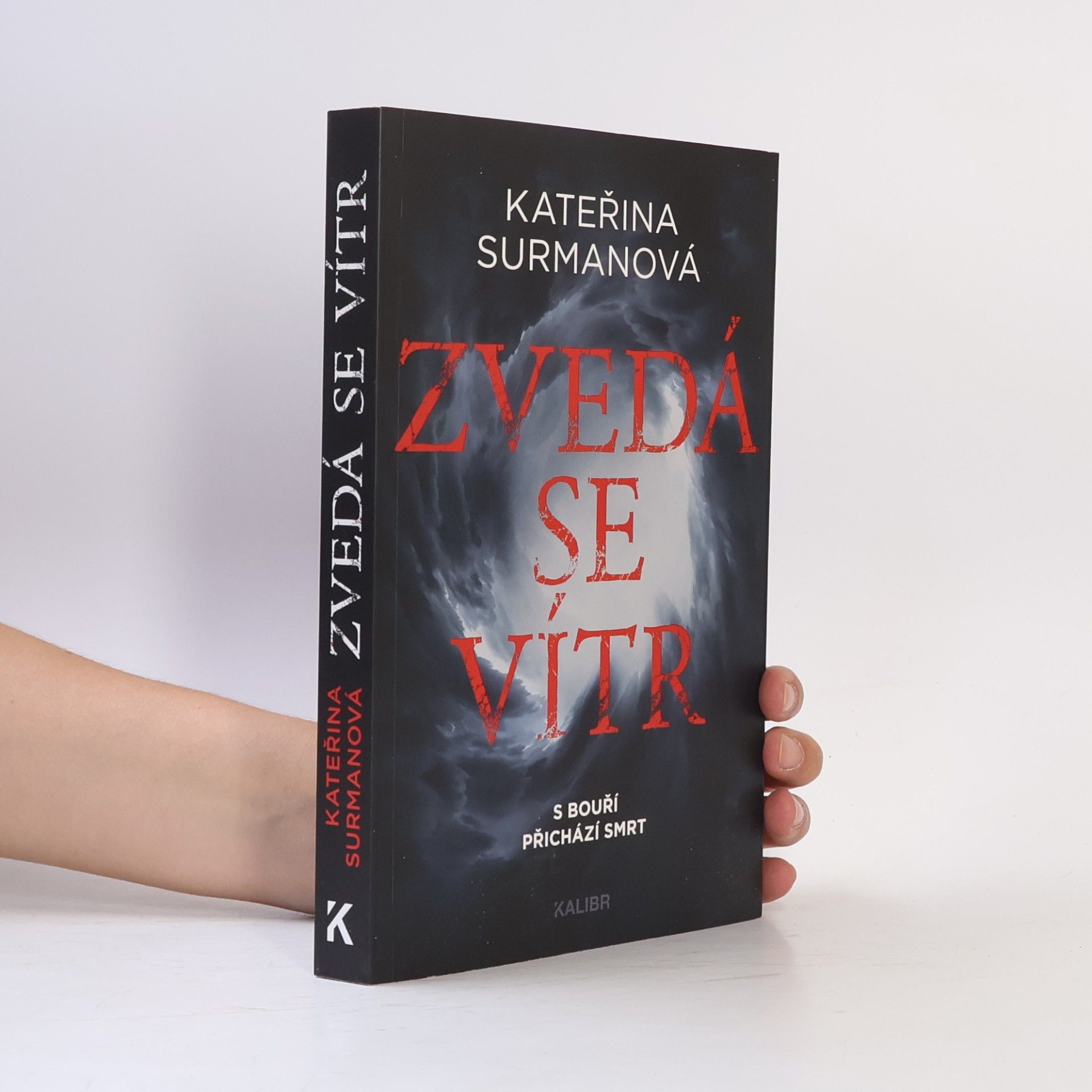 Kateřina Surmanová Zvedá se vítr