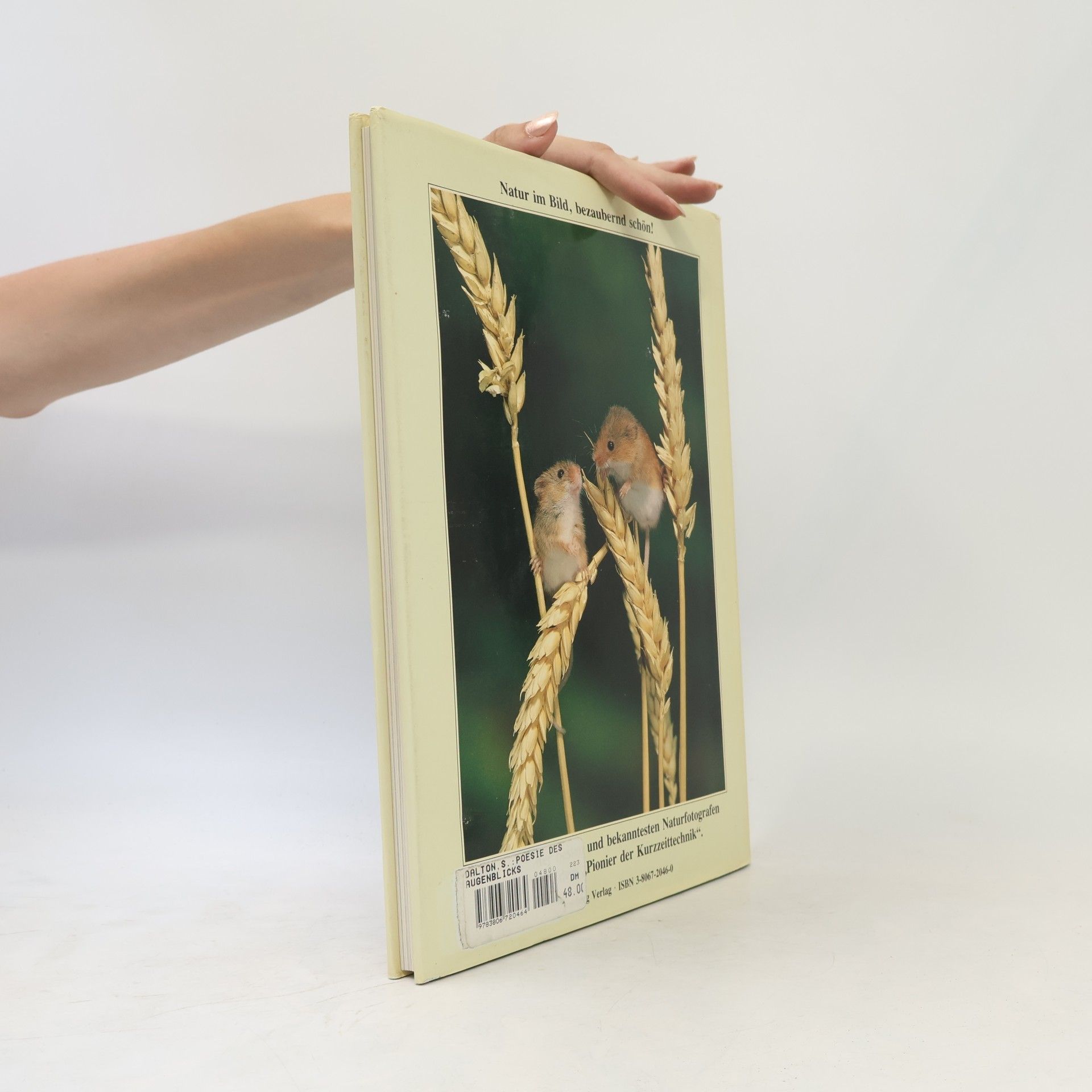 Stephen Dalton Poesie des Augenblicks
