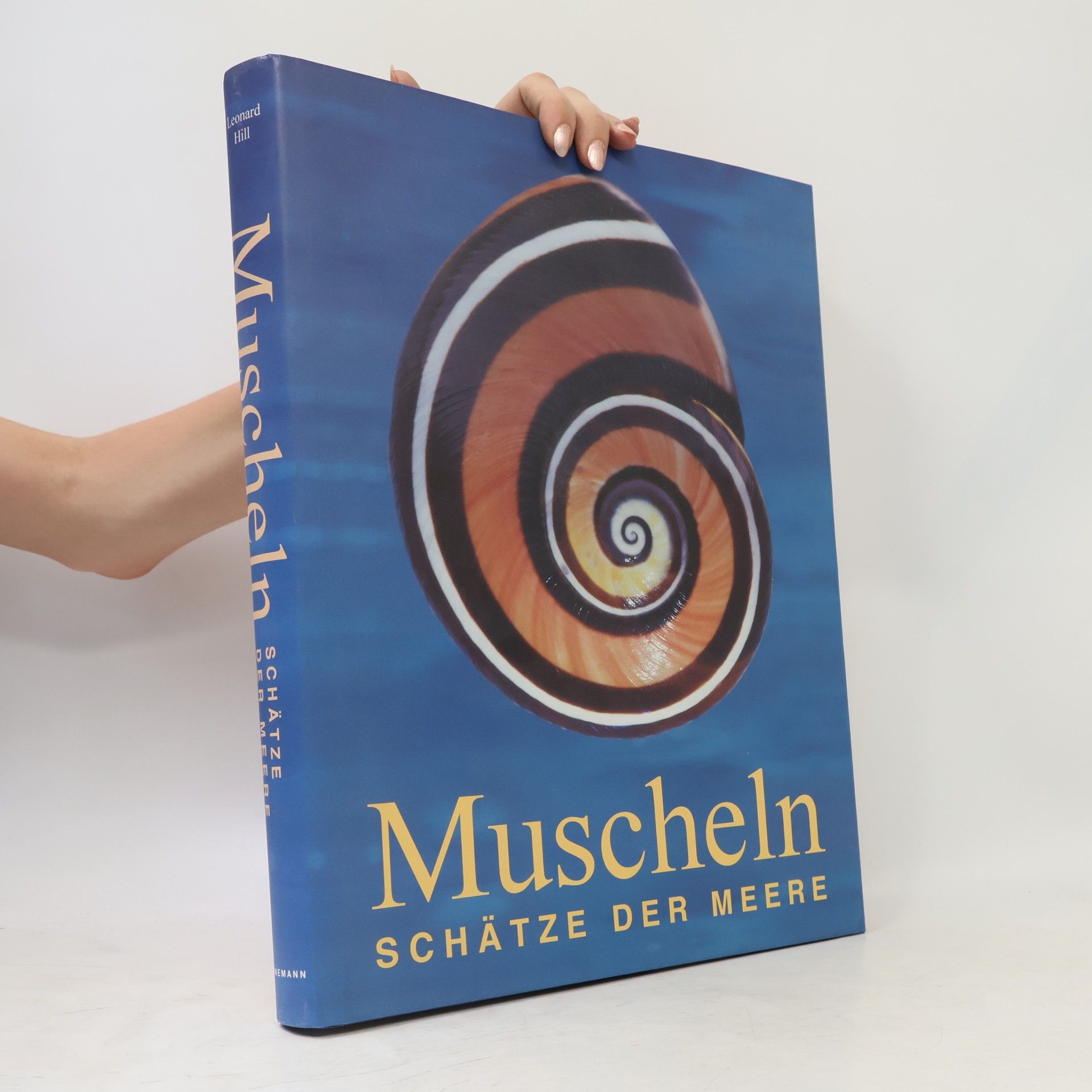 Leonard Hill Muscheln