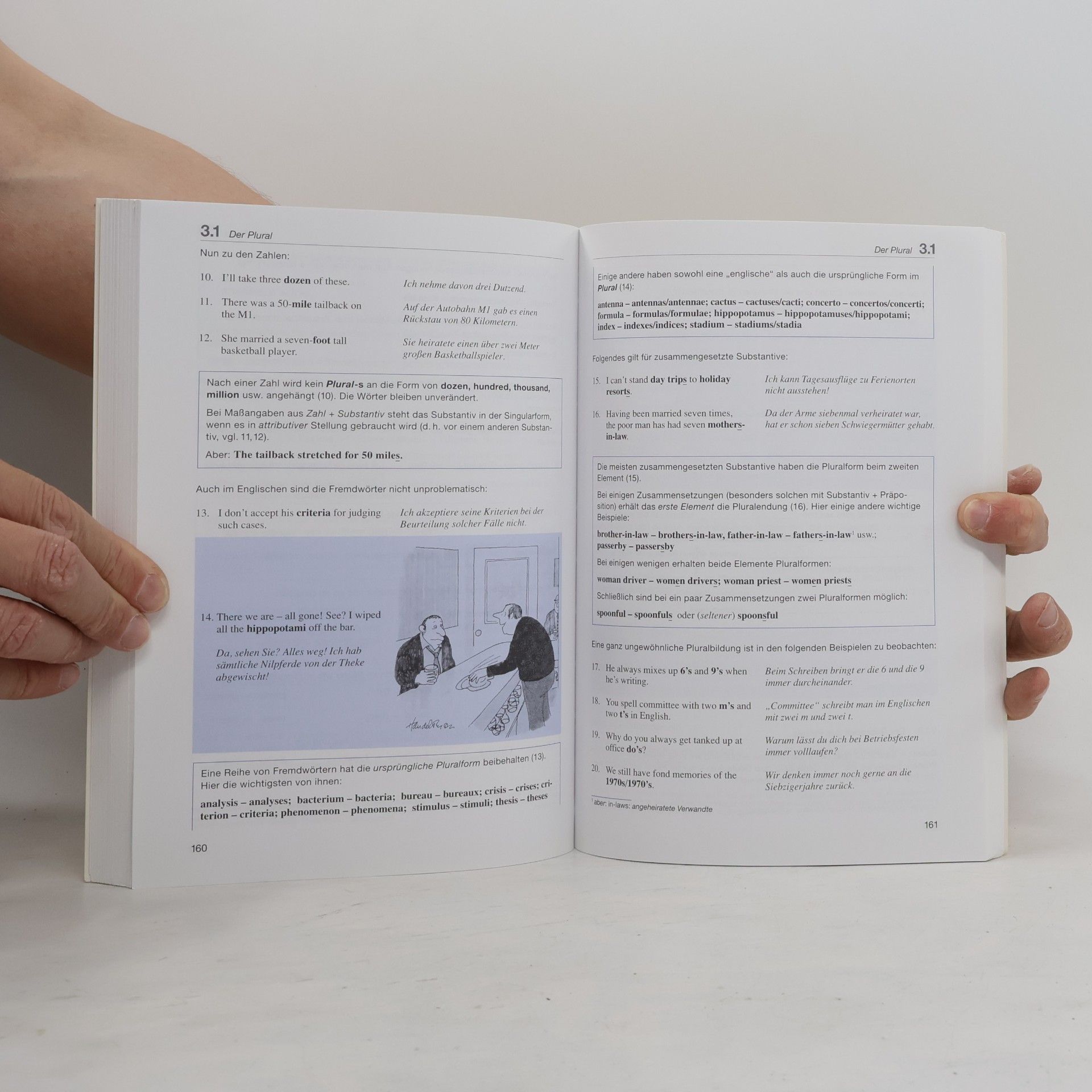 Autorenkollektiv Langenscheidt. Standardgrammatik Englisch