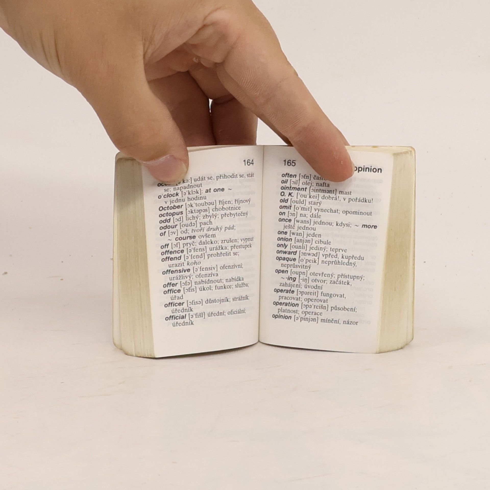 Autorenkollektiv Anglicko-český slovník