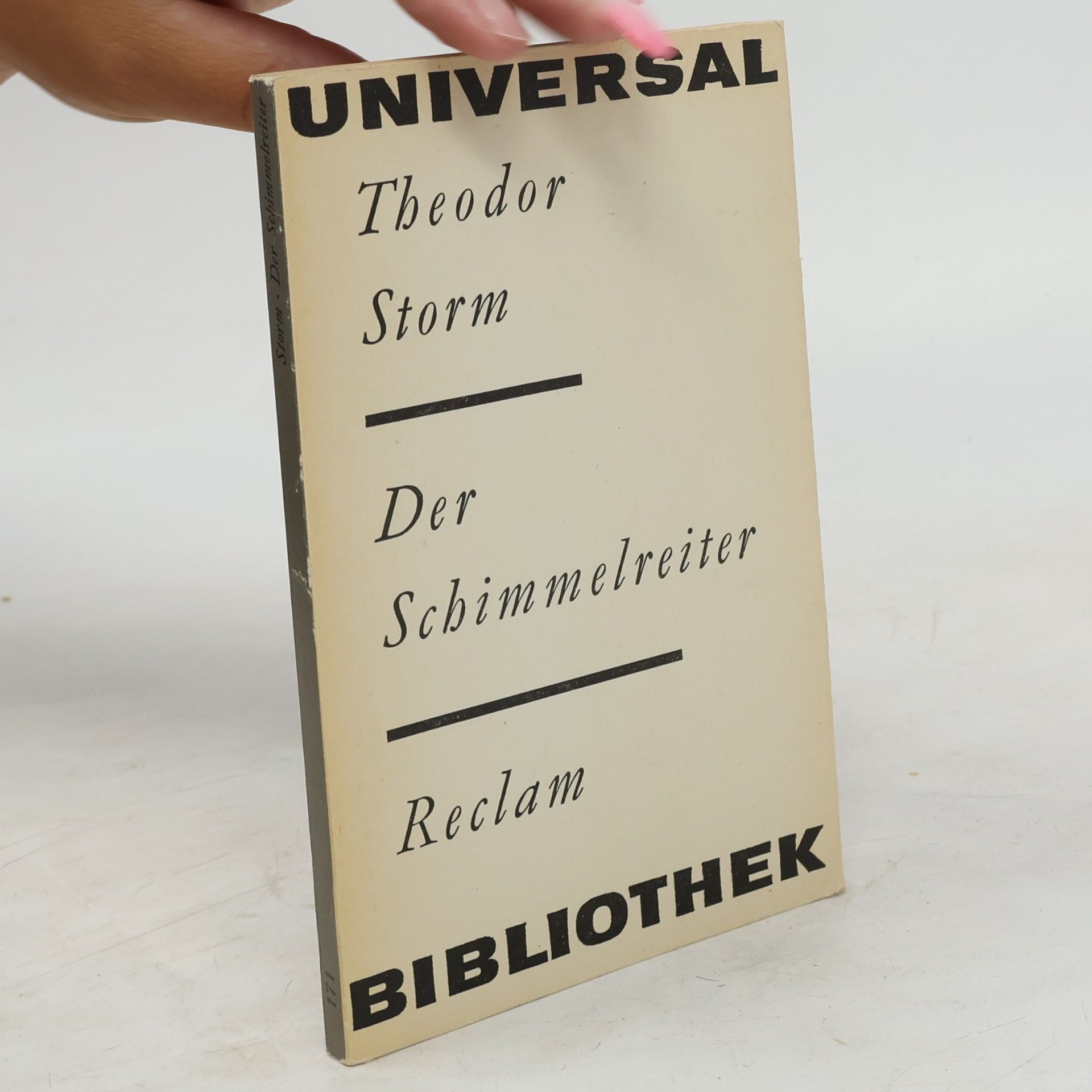 Theodor Storm Der Schimmelreiter