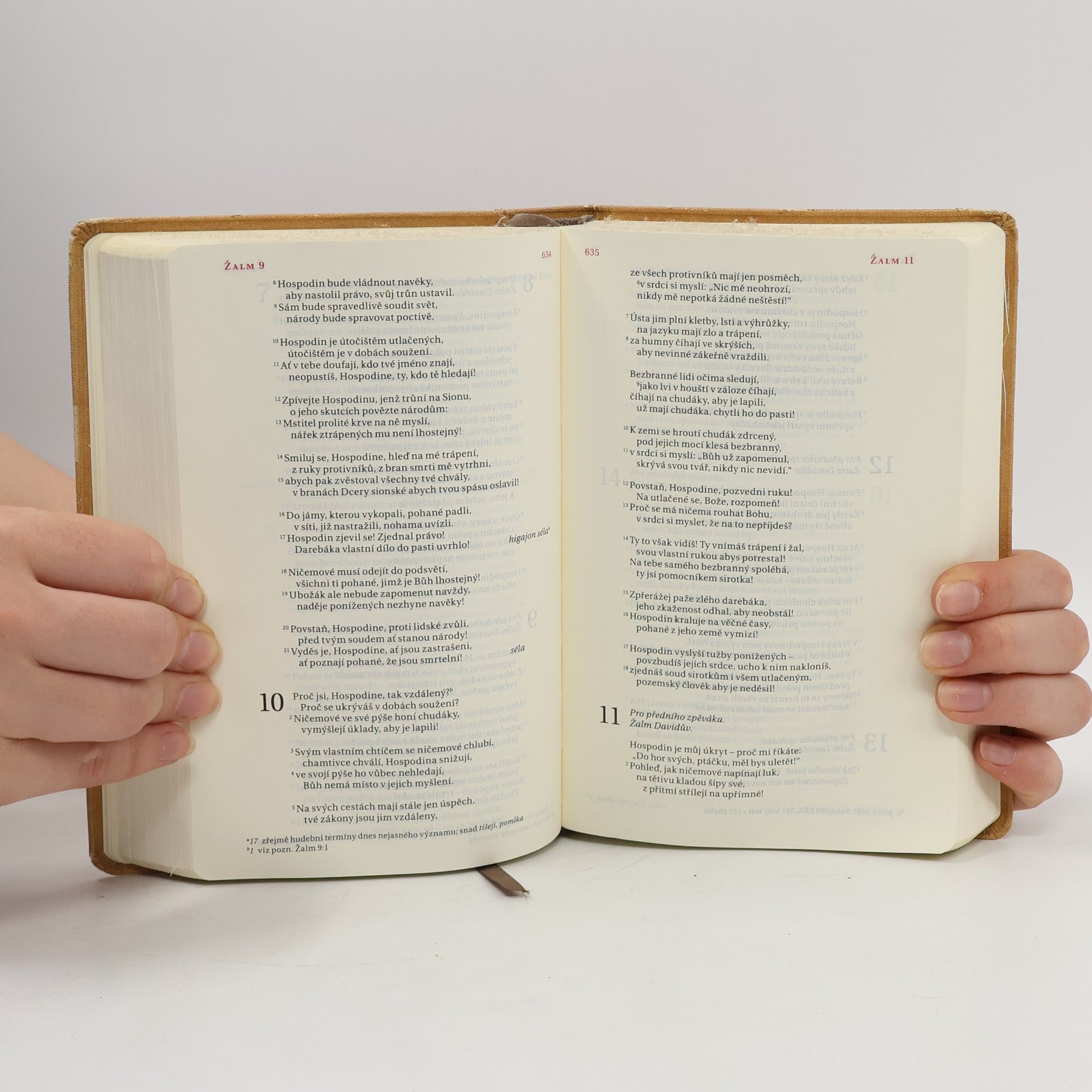 Alexandr Flek Bible. Překlad 21. století