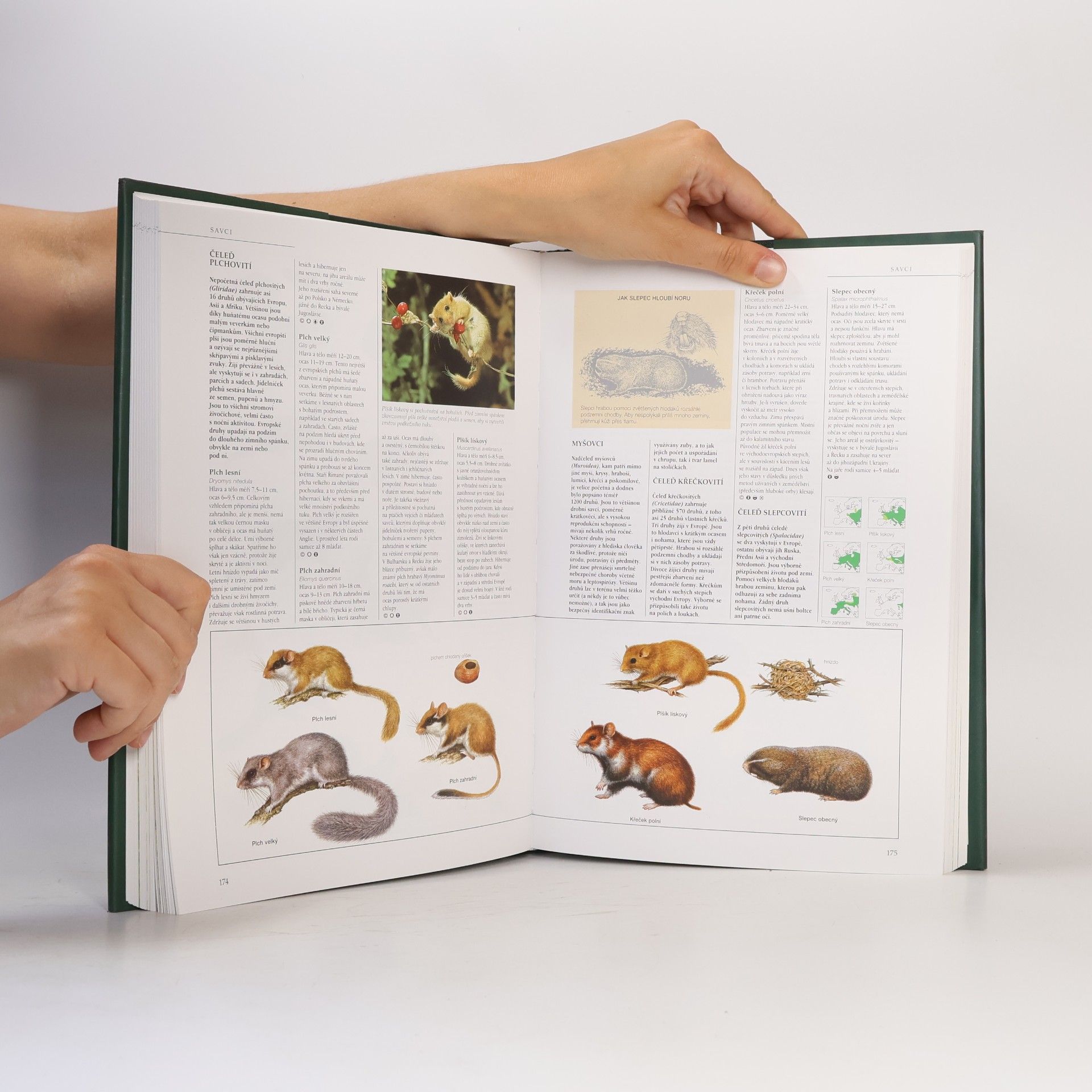 Michael Chinery Flóra a fauna Evropy