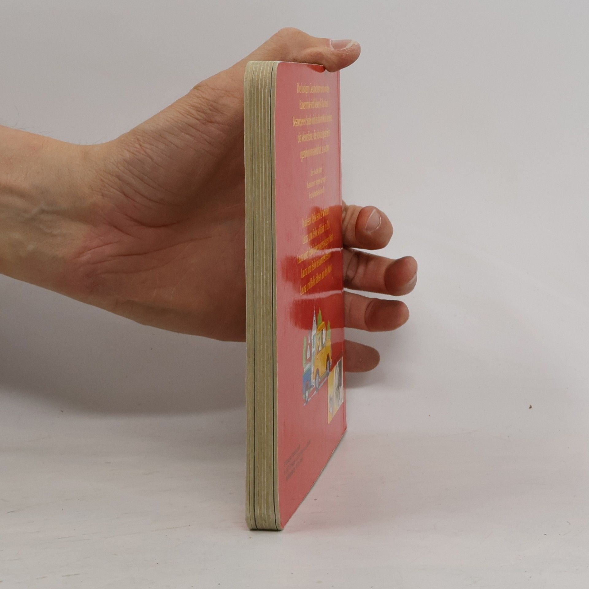 Kolektiv autorů Laura und Felix