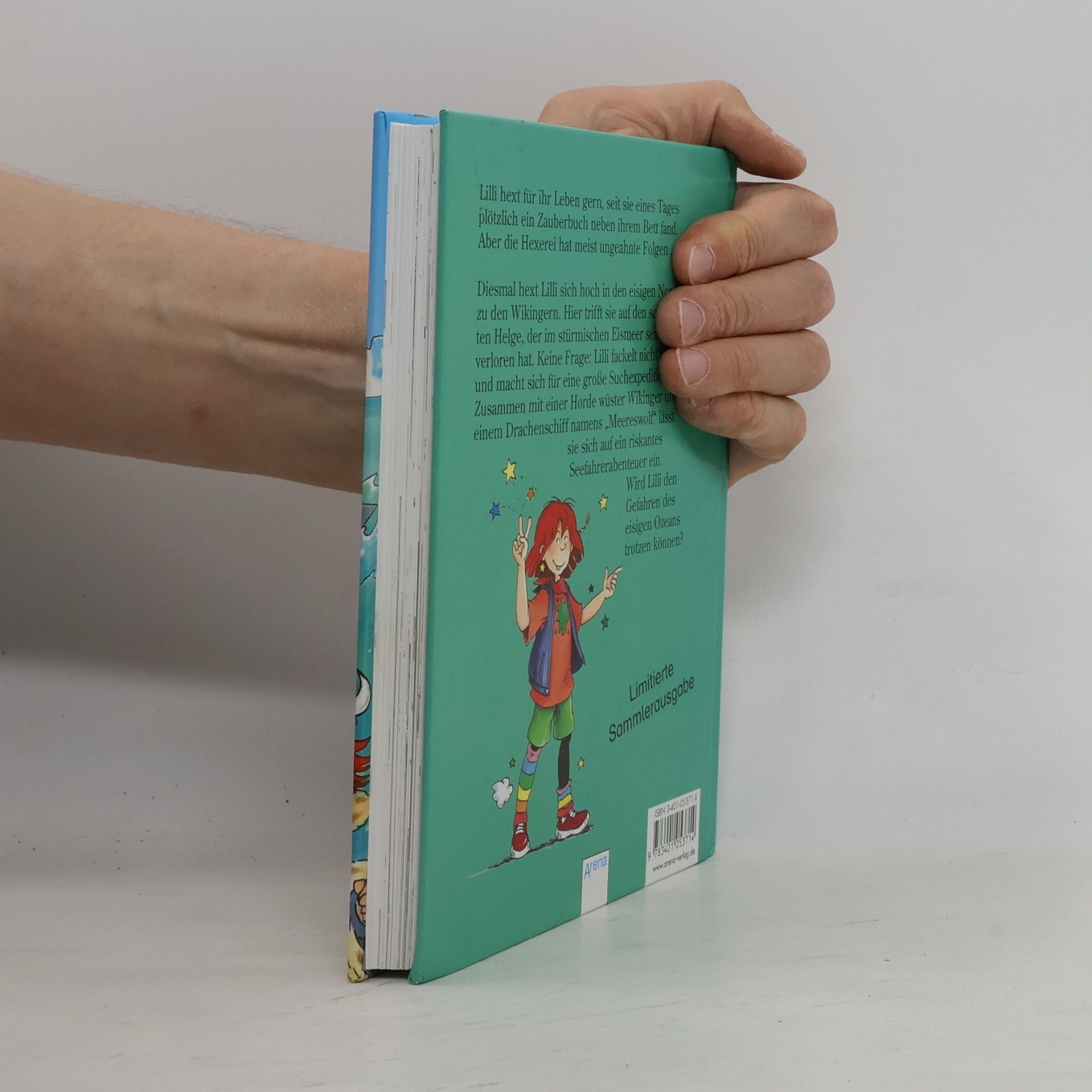 Brigit Rieger Hexe Lilli und der schreckhafte Wikinger