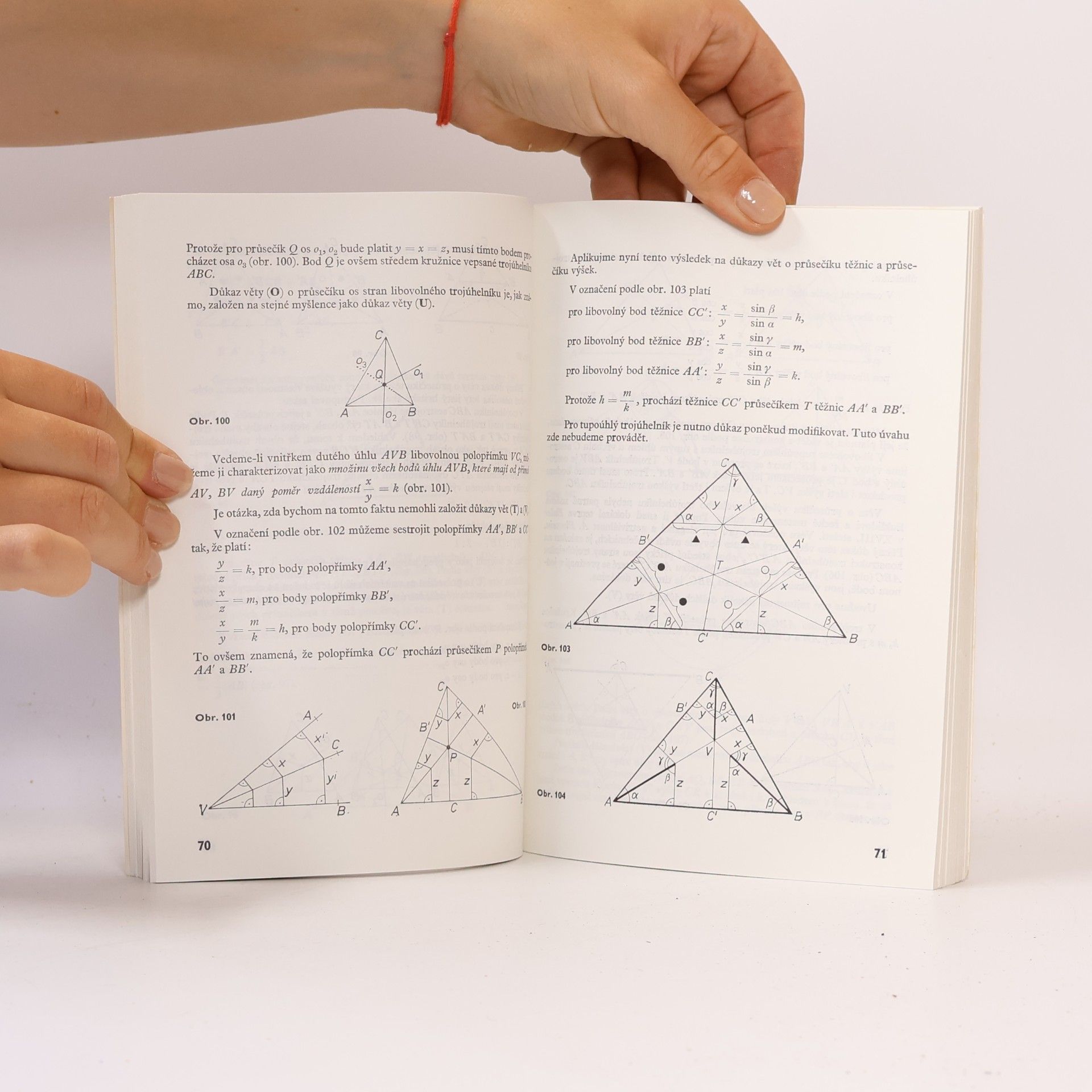 František Kuřina Umění vidět v matematice