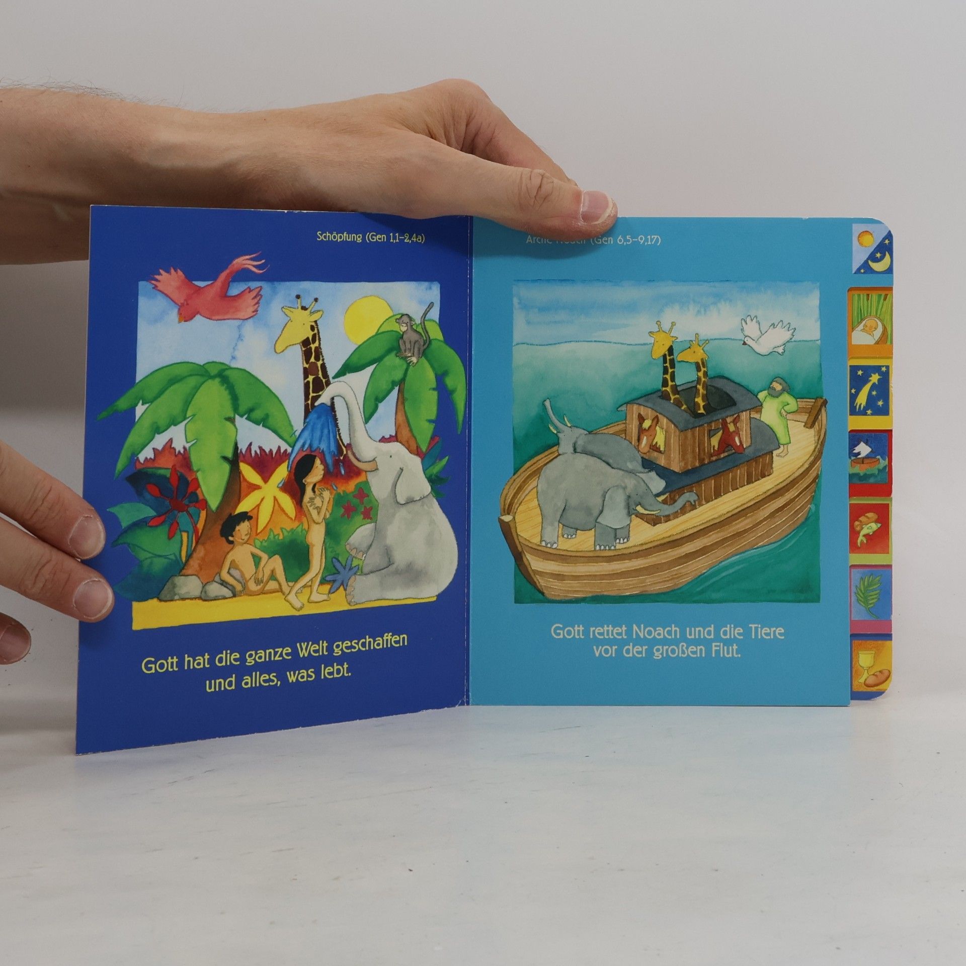 Pia Biehl Meine erste Bilder-Buch-Bibel