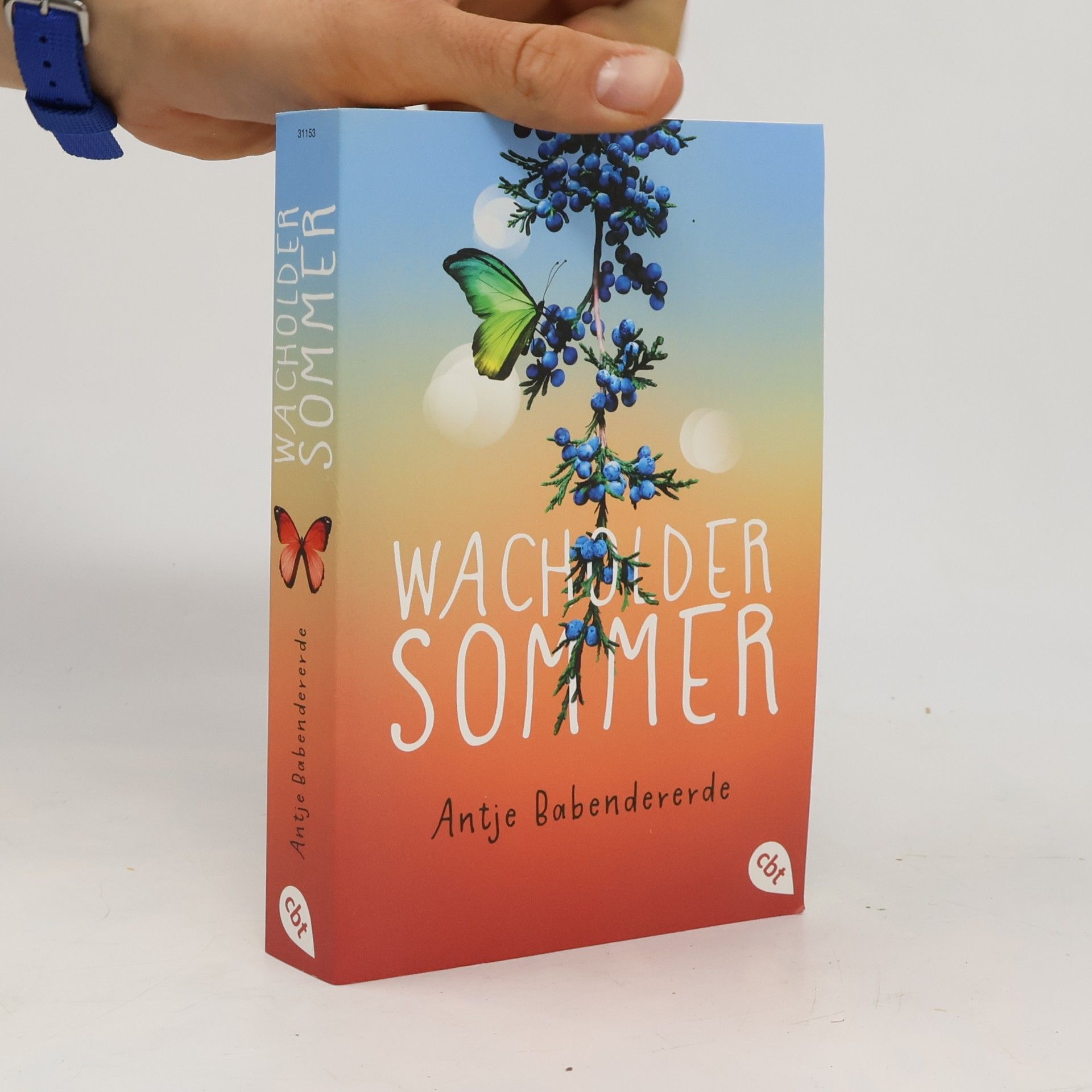 Antje Babendererde Wacholdersommer