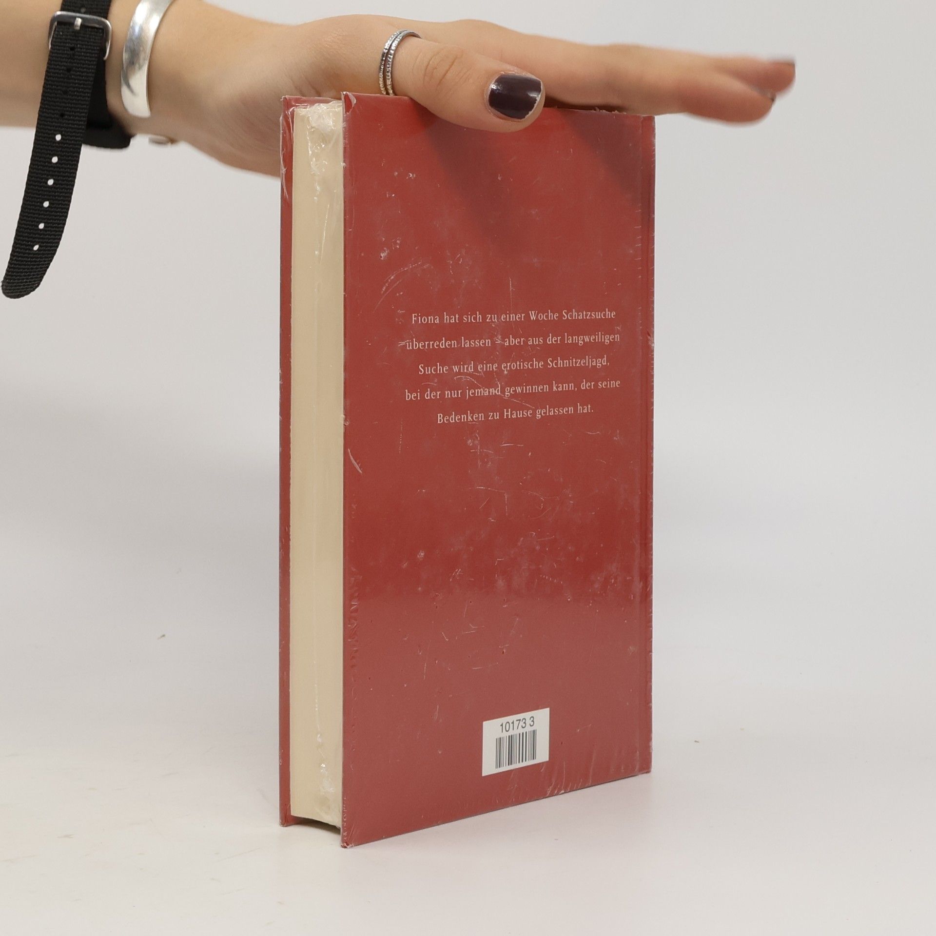 Lyn Wood Die Schatzsucher