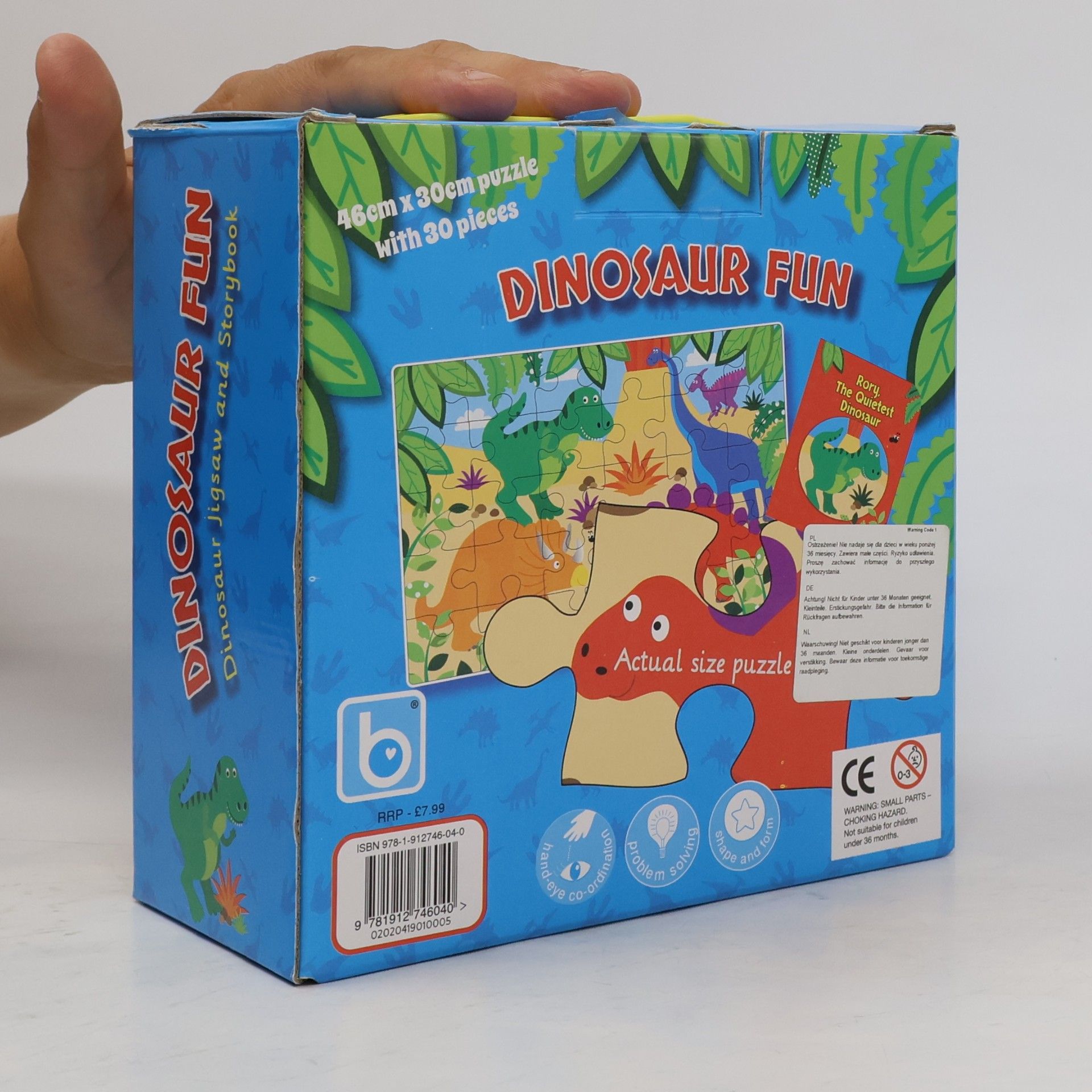 Dinosaur Fun