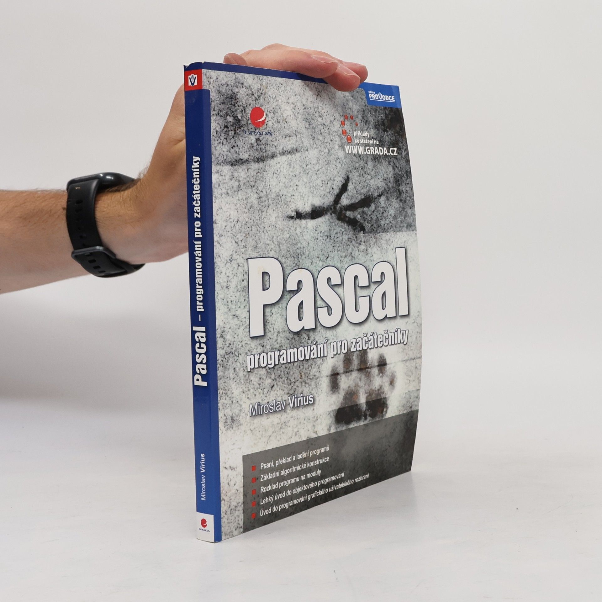 Pascal : programování pro začátečníky