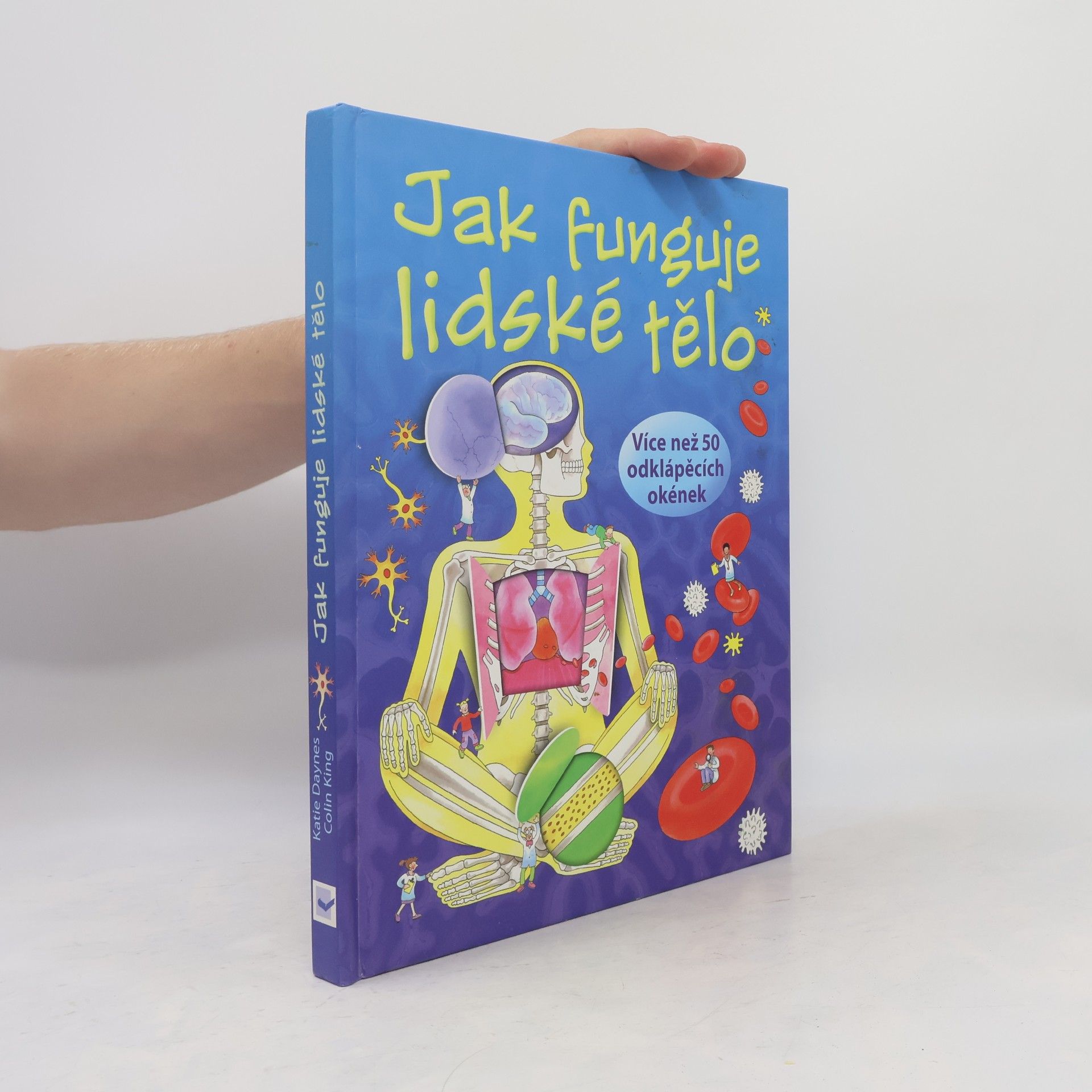 Katie Daynes Jak funguje lidské tělo