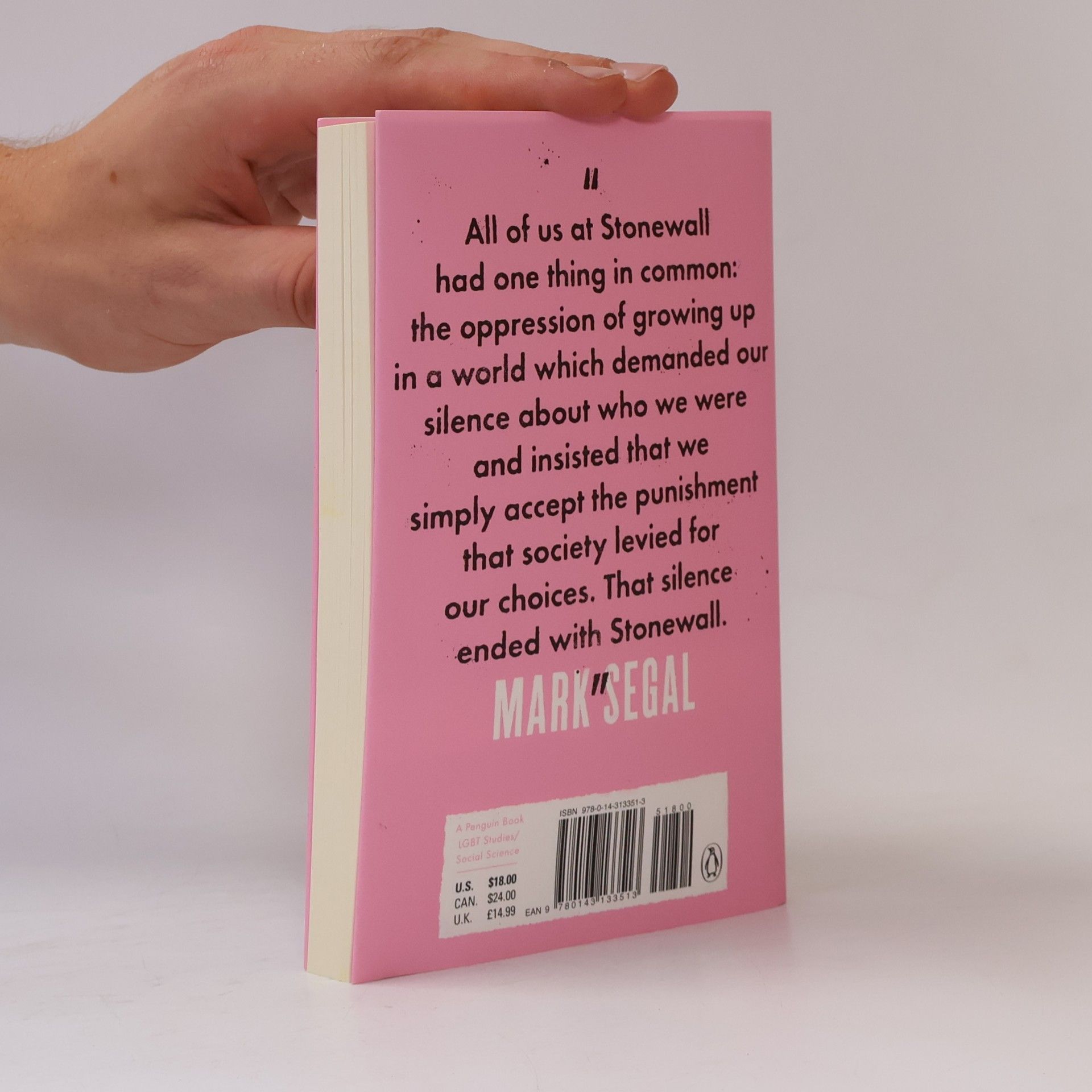 Jason Baumann The Stonewall Reader