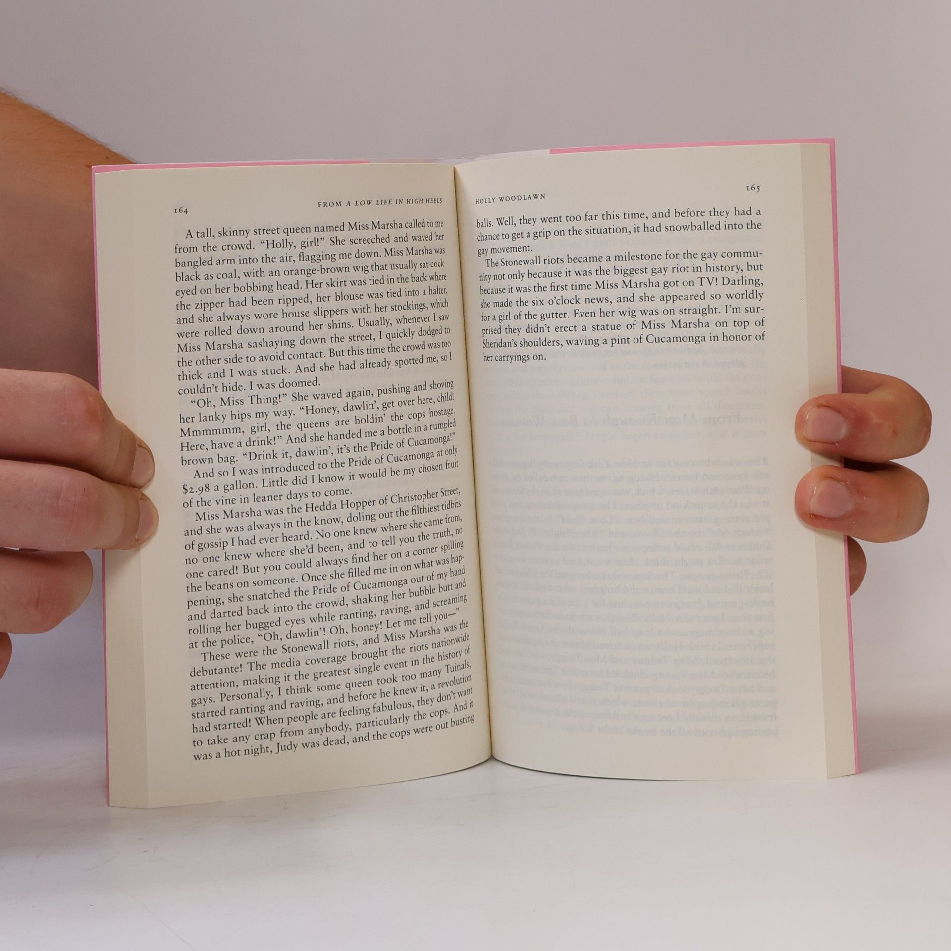 Jason Baumann The Stonewall Reader