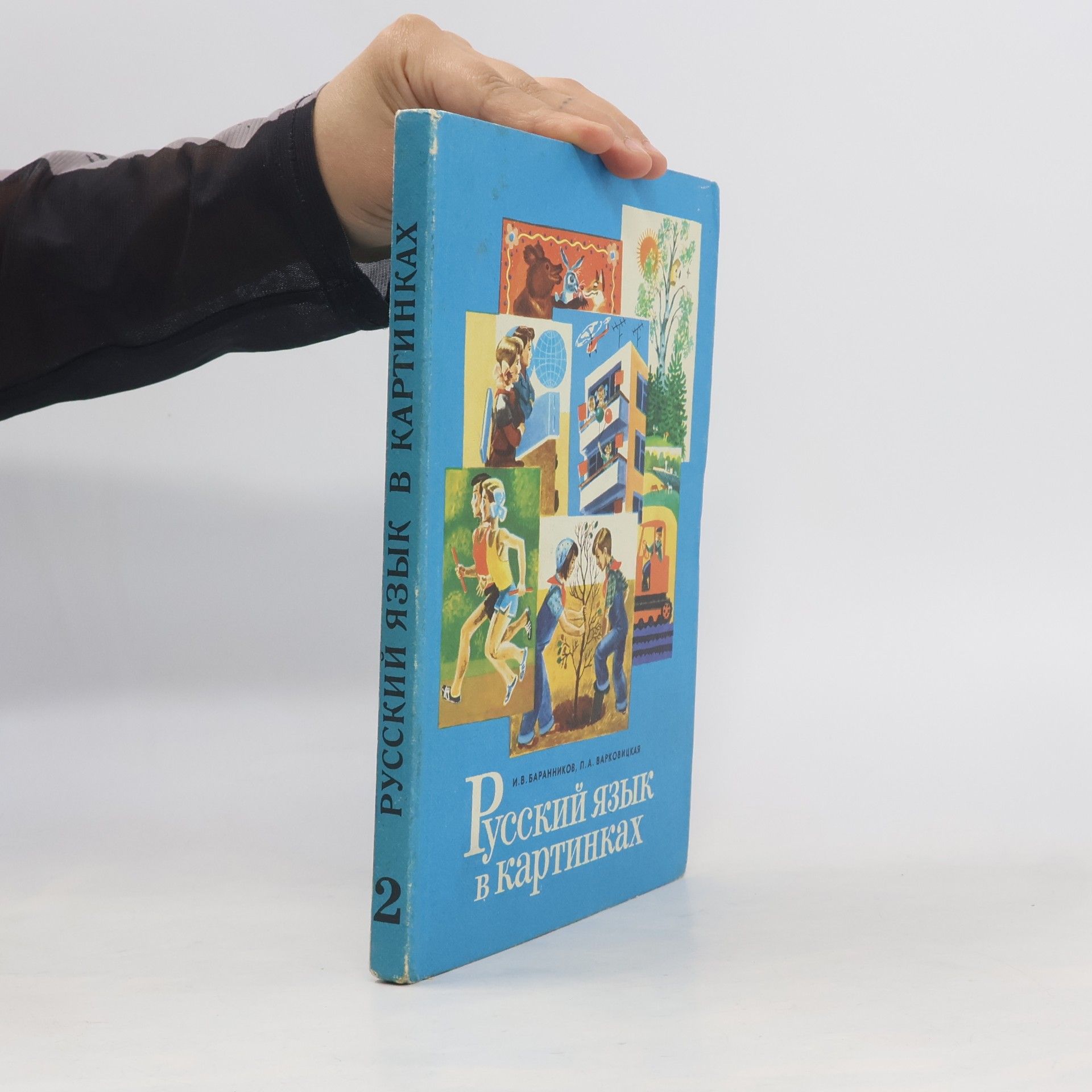 I. V. Barannikov Русский язык в картинках