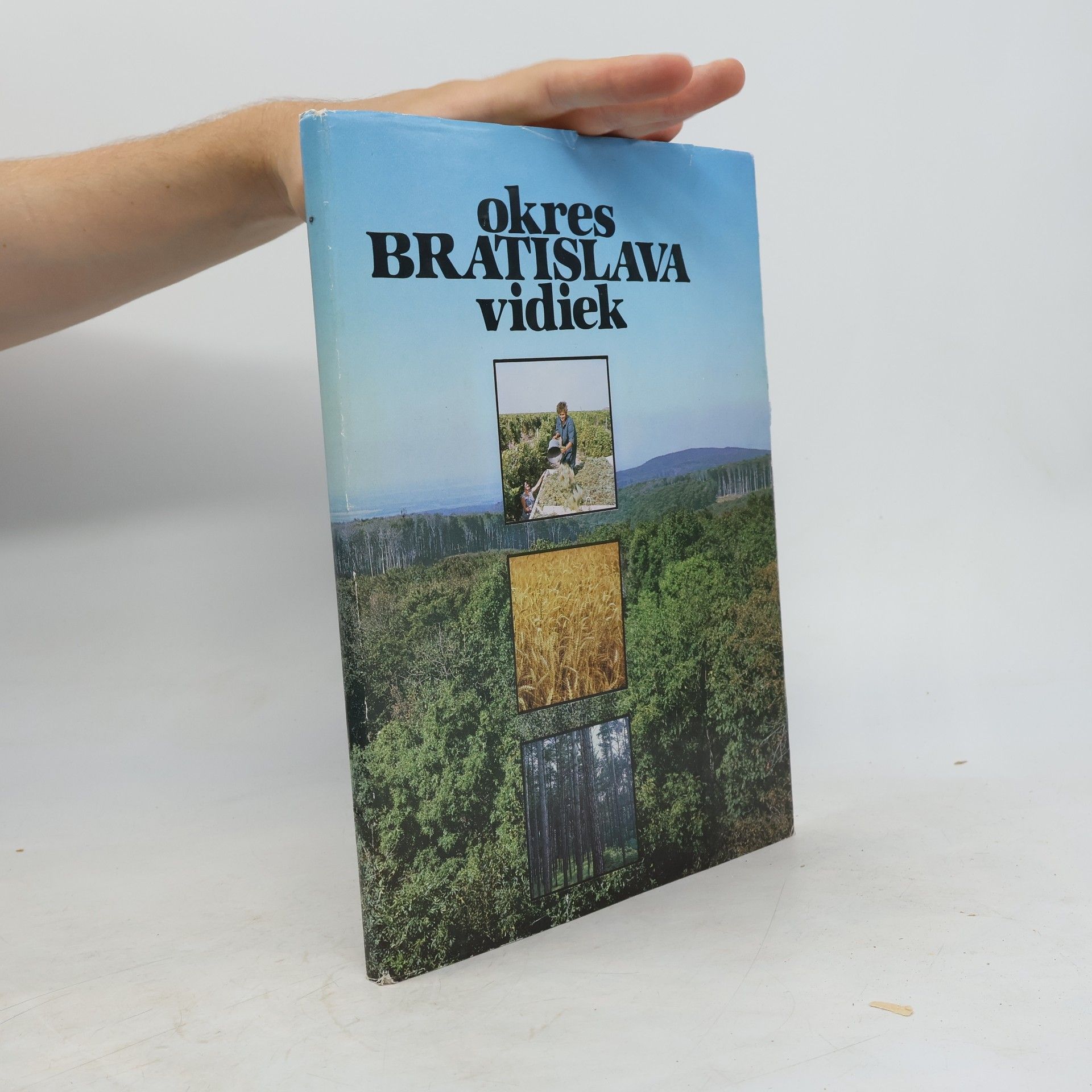 Autorenkollektiv Okres Bratislava vidiek