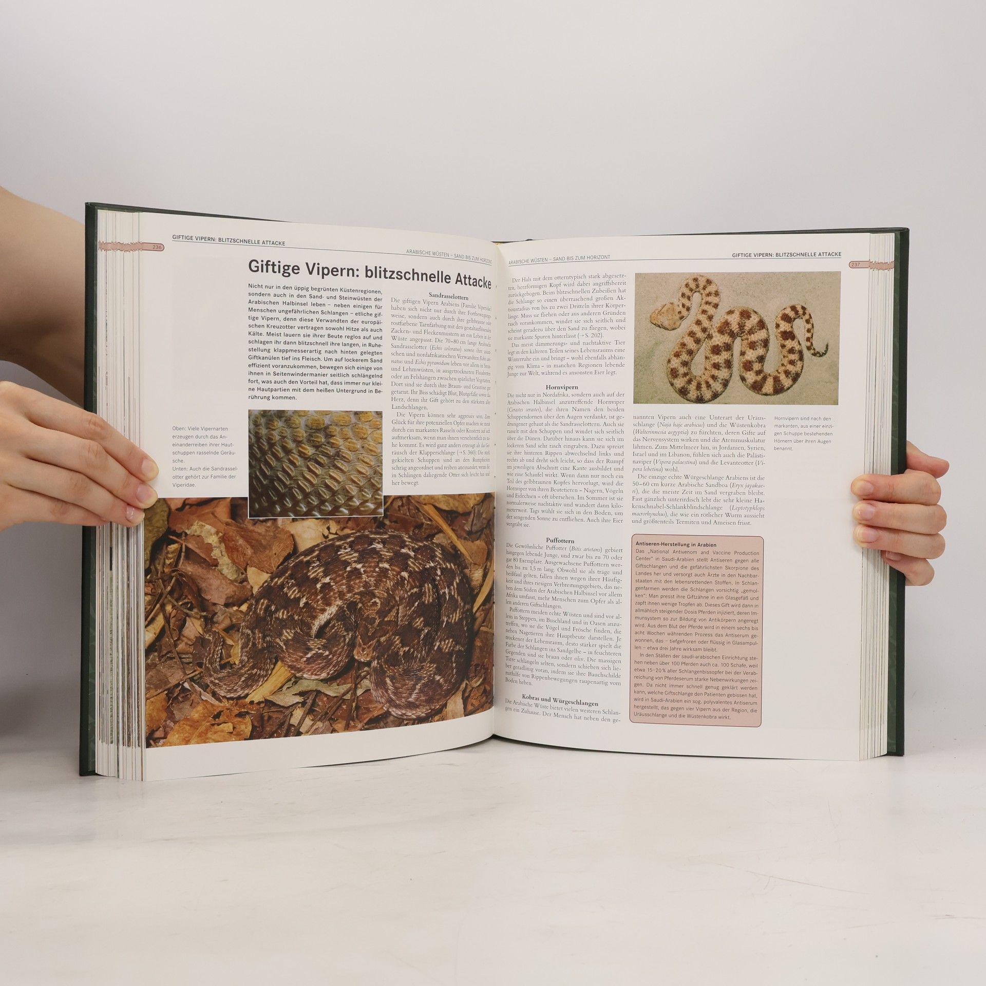 Ellen Astor Faszination Natur