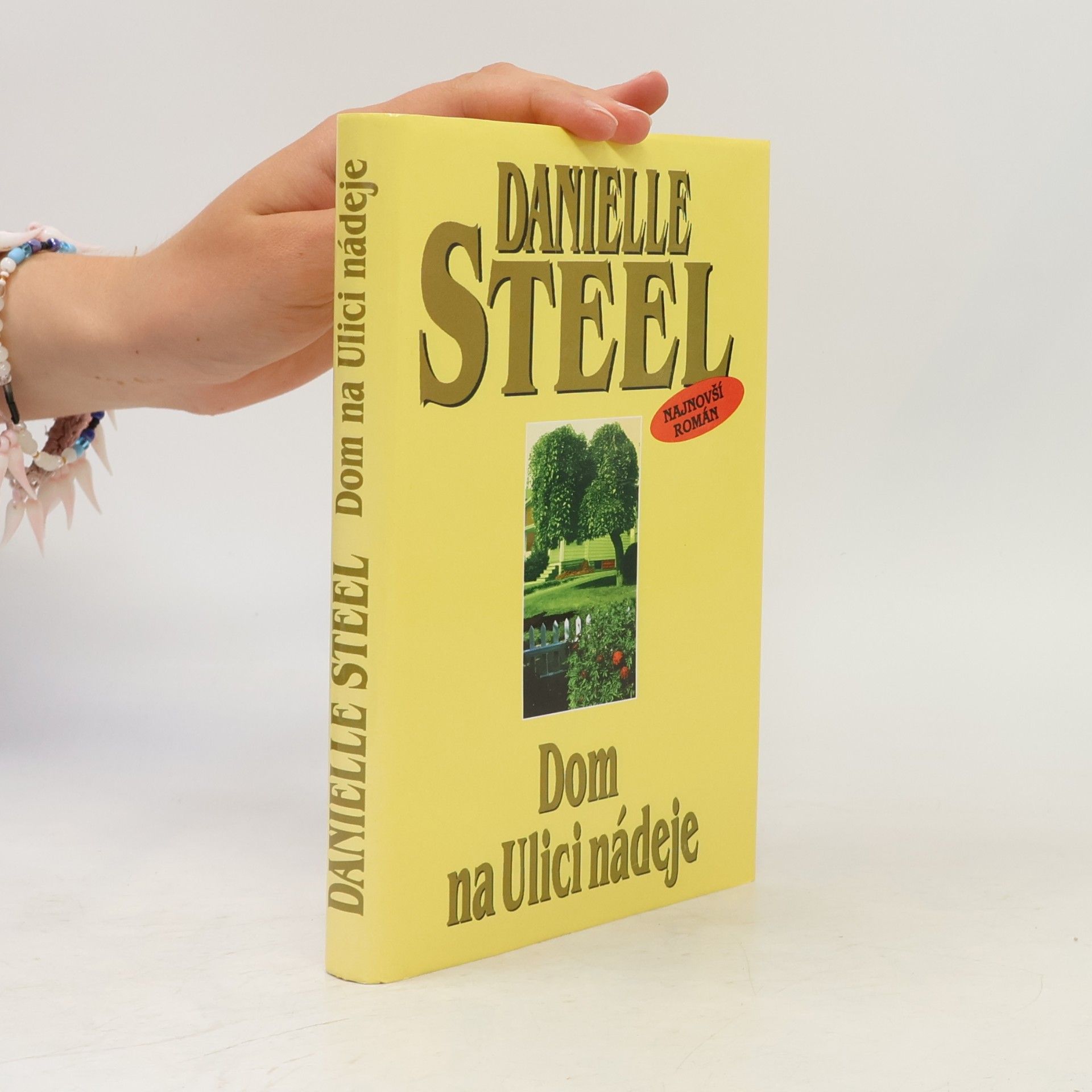 Danielle Steel Dom na Ulici nádeje