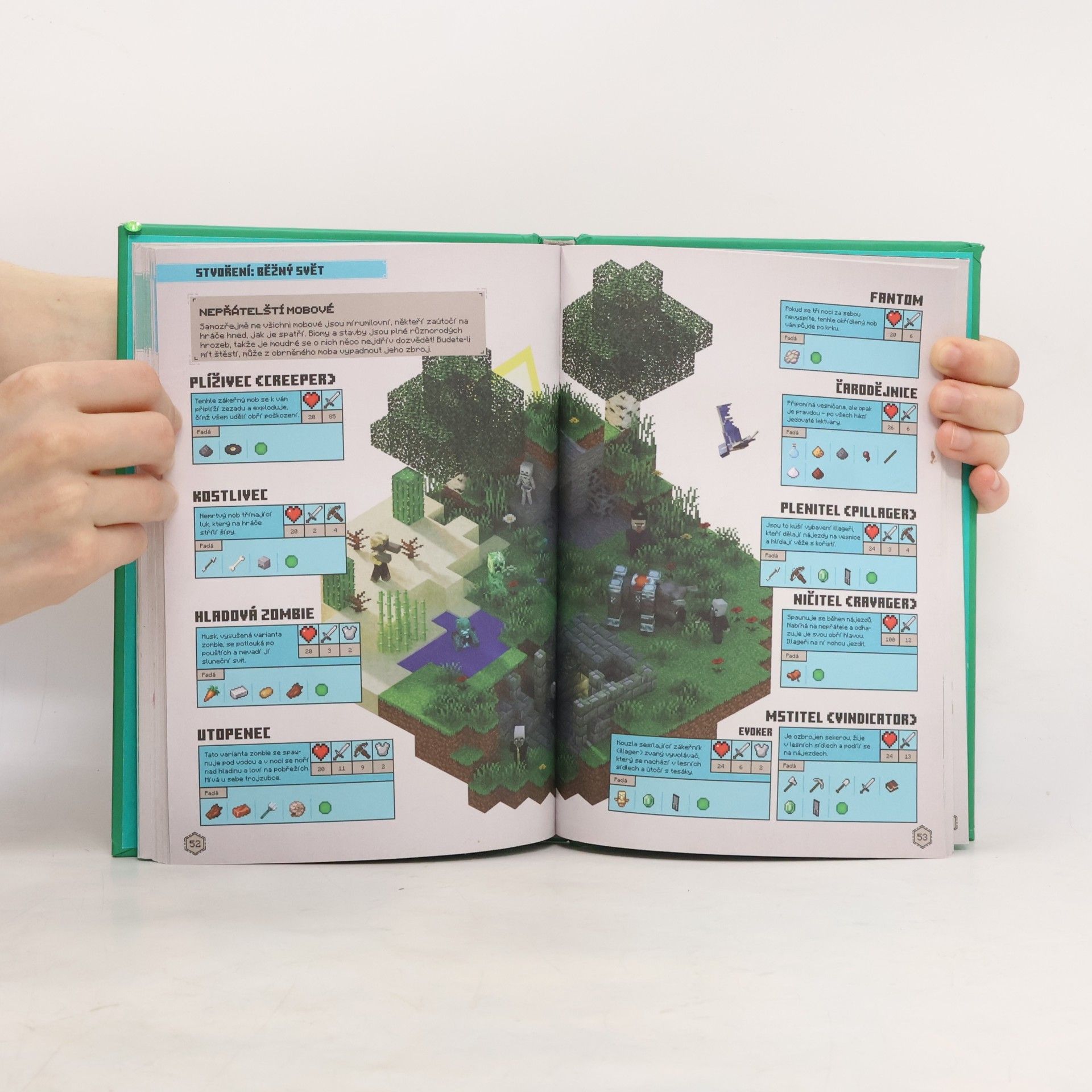 Thomas McBrien Minecraft. Příručka přežití