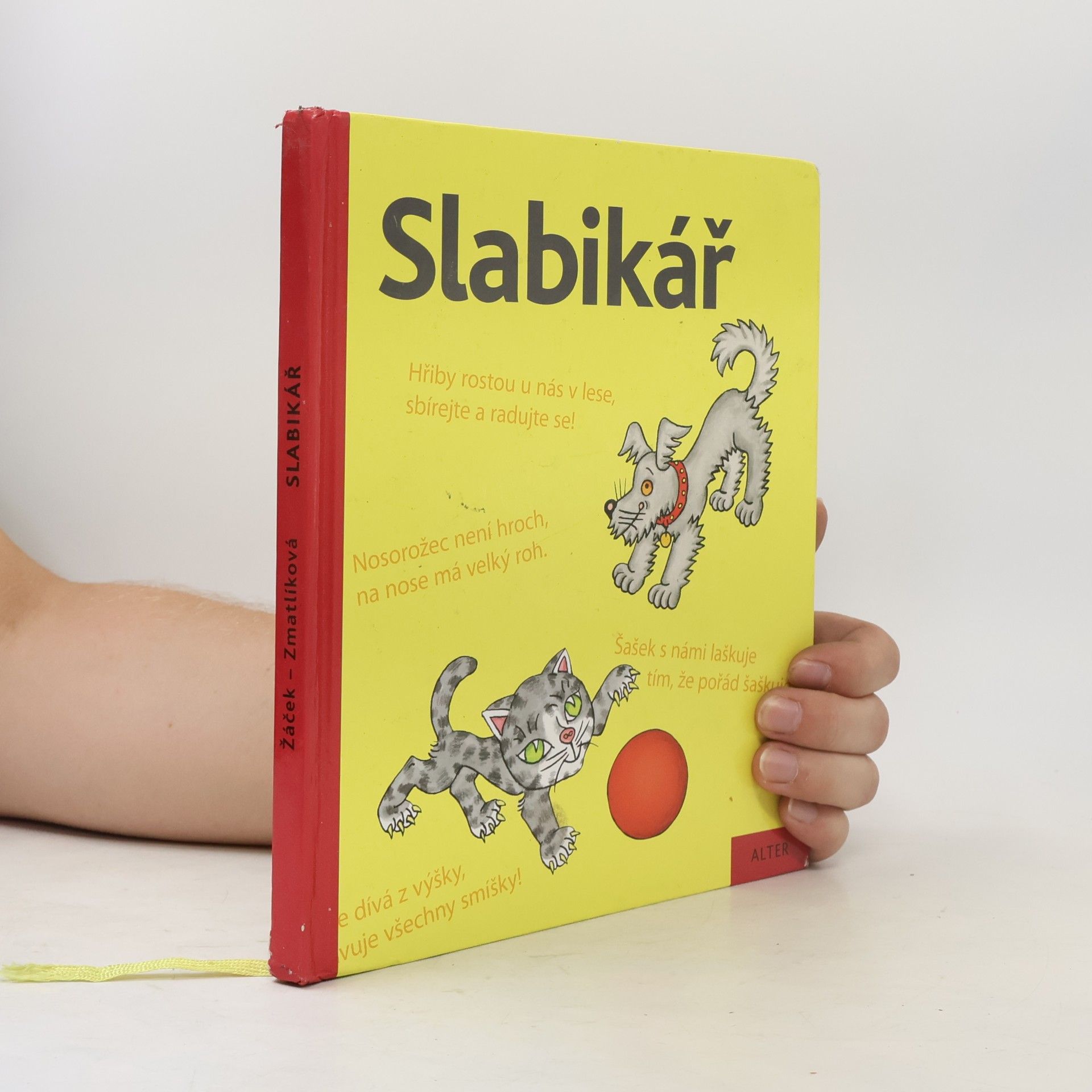 Jiří Žáček Slabikář : učebnice pro vzdělávací obor Český jazyk a literatura