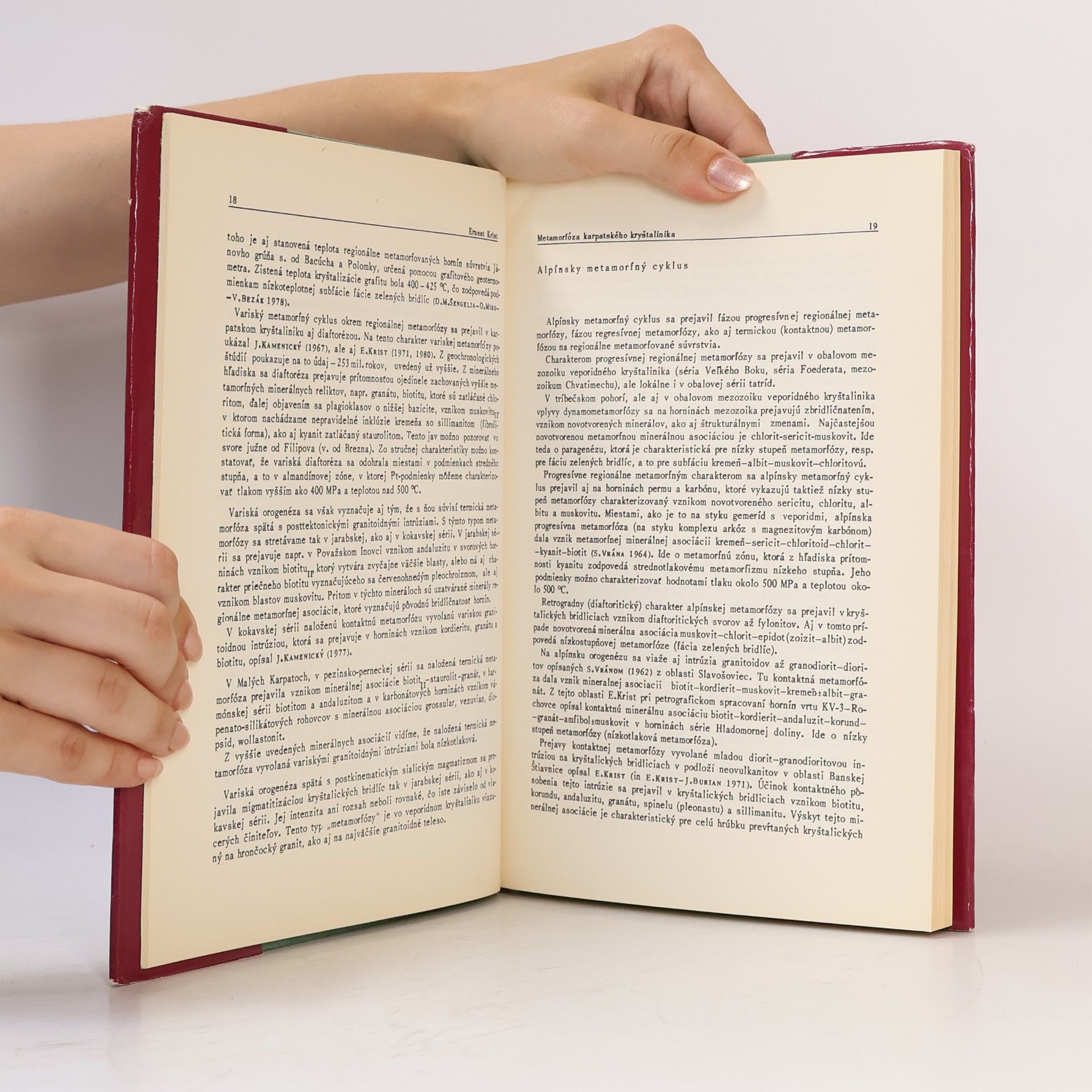 Autorenkollektiv Metamorfné procesy v Západných Karpatoch