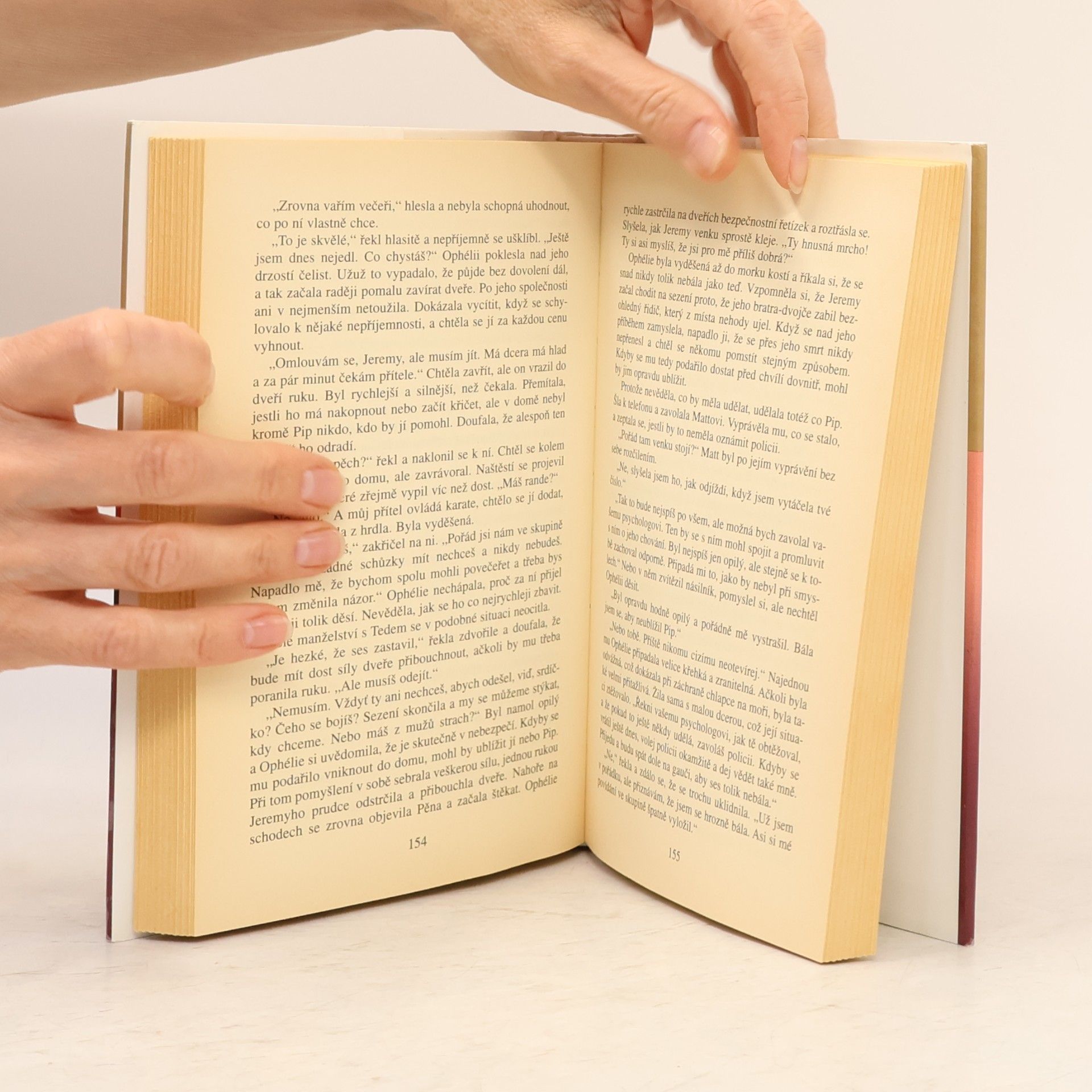 Danielle Steel Přístav bezpečí