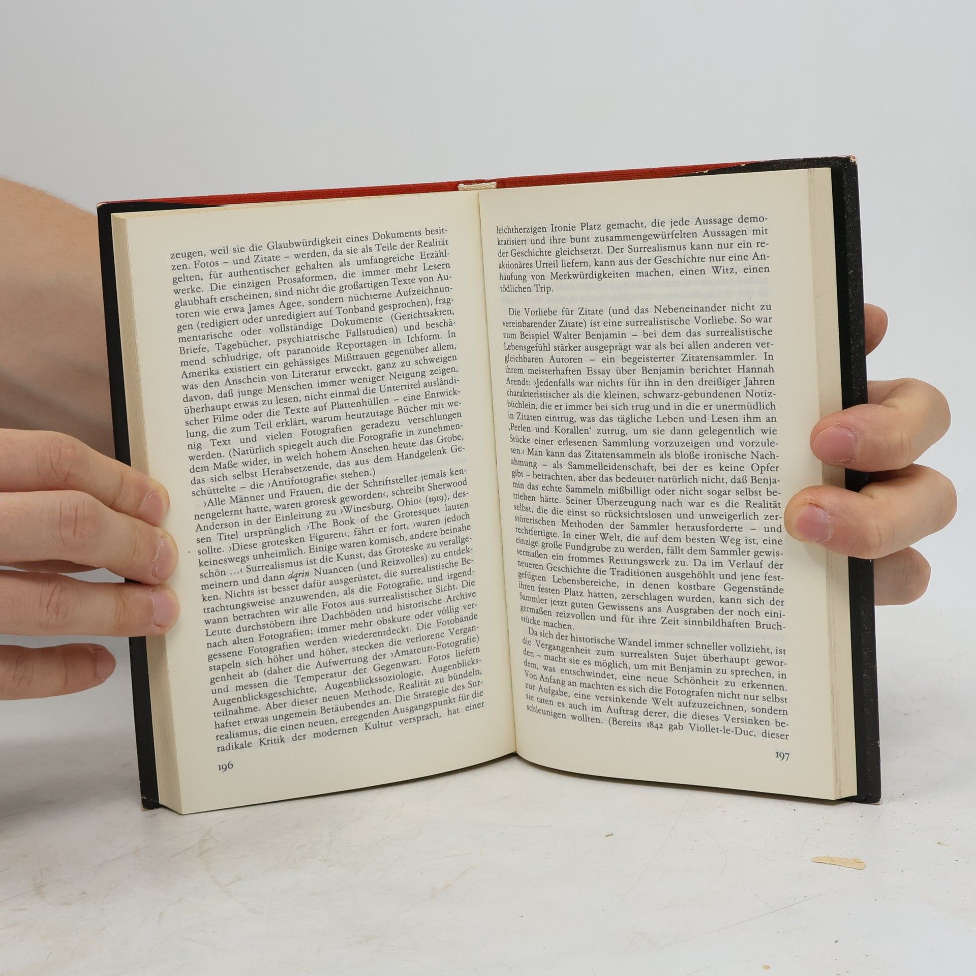 Susan Sontag Geist als Leidenschaft