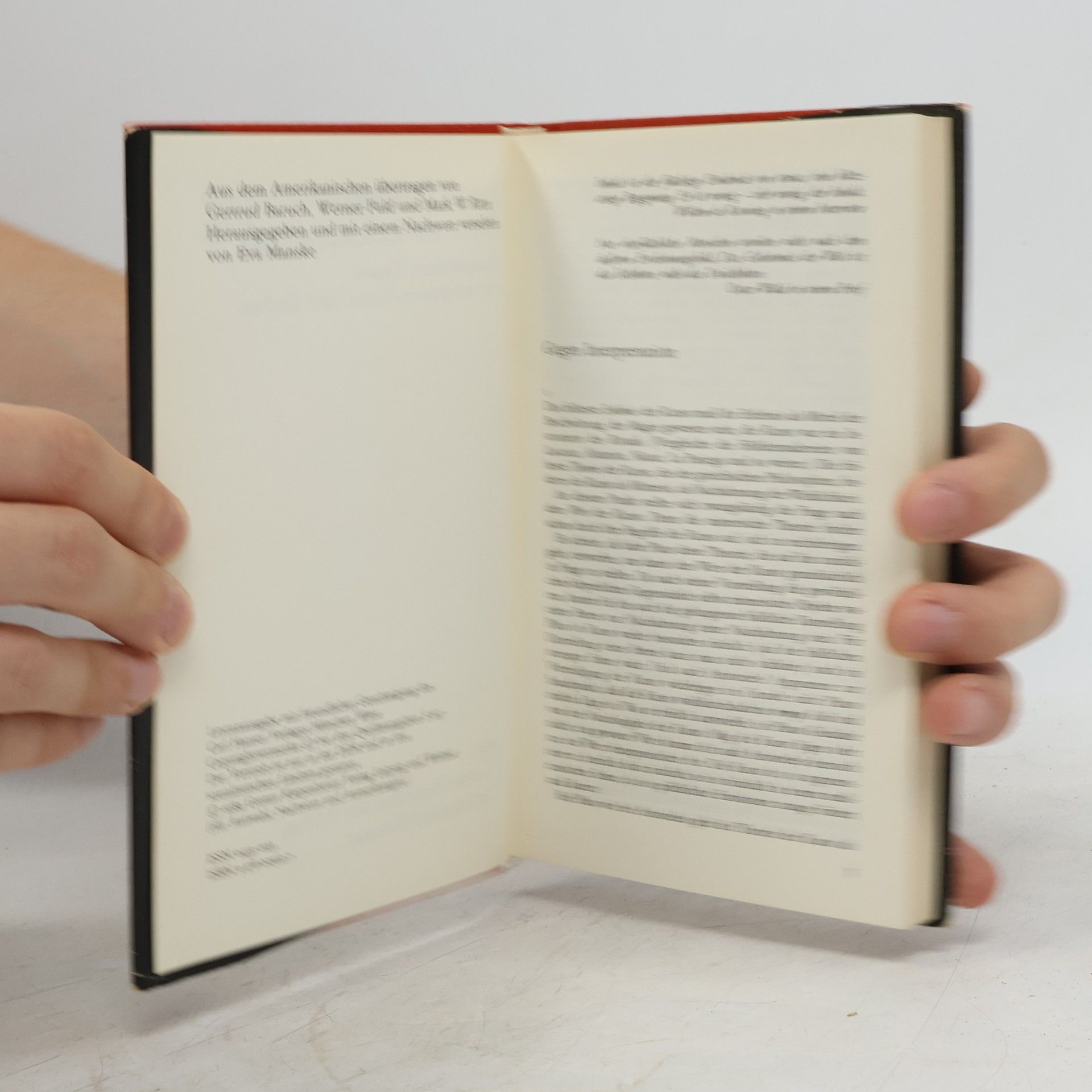 Susan Sontag Geist als Leidenschaft