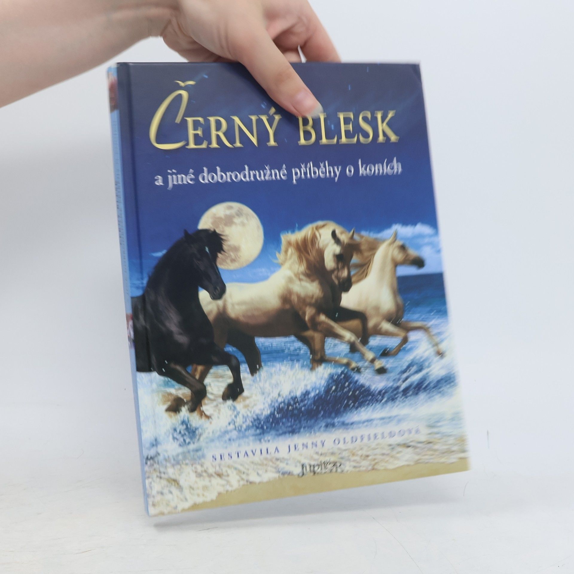 Jenny Oldfield Černý blesk a jiné dobrodružné příběhy o koních