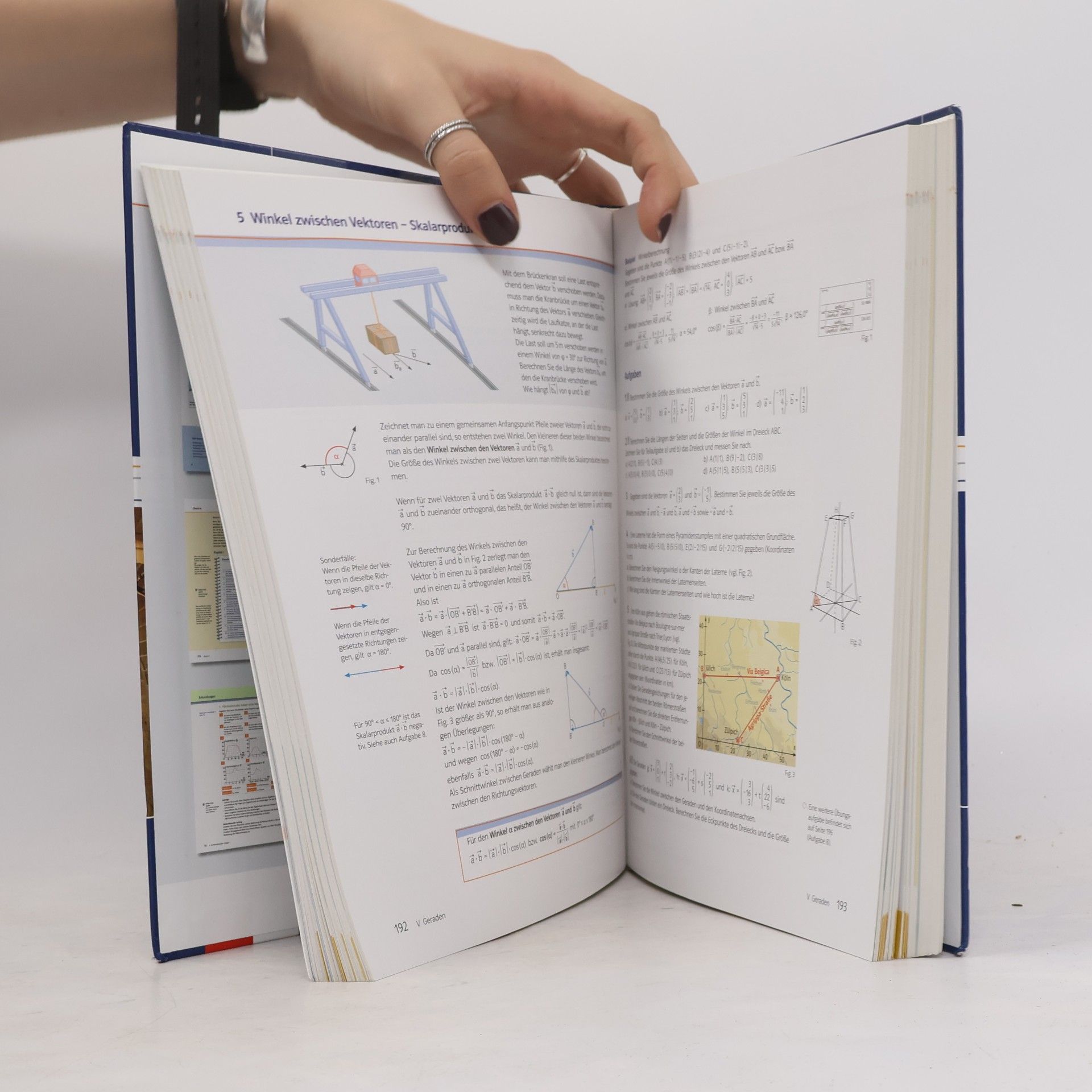 Kolektív autorov Lambacher Schweizer. Mathematik für Gymnasien