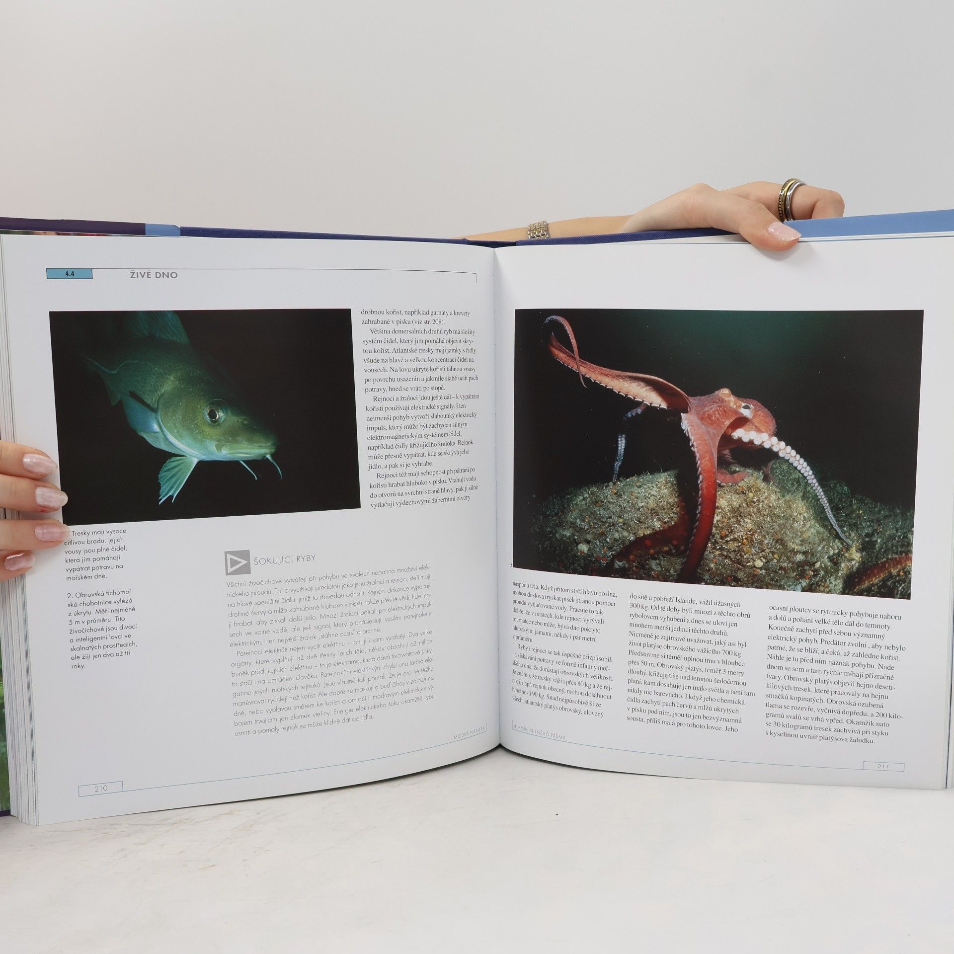 Andrew Byatt Modrá planeta : přírodopis oceánů