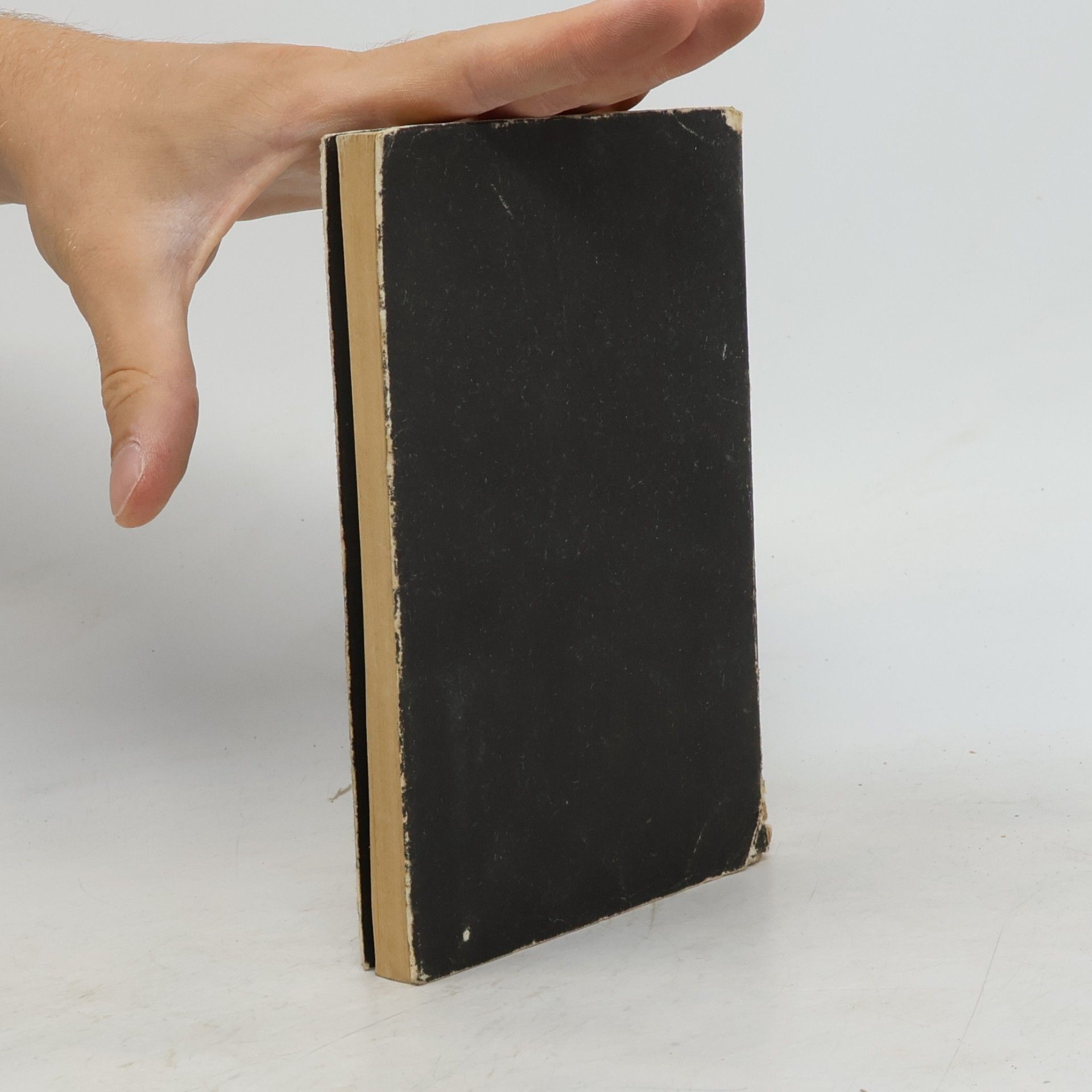 Thomas Pynchon Die Versteigerung von No. 49
