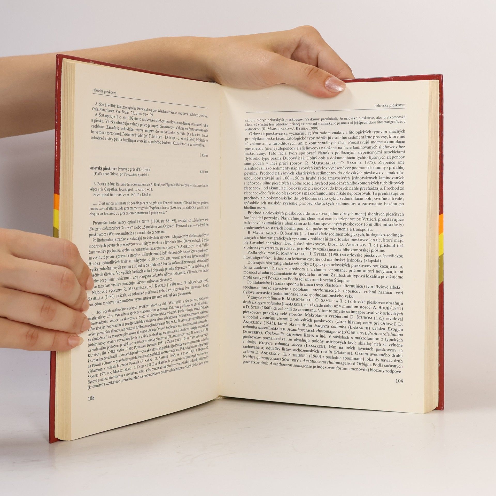 Autorenkollektiv Stratigrafický slovník Západných Karpat 2