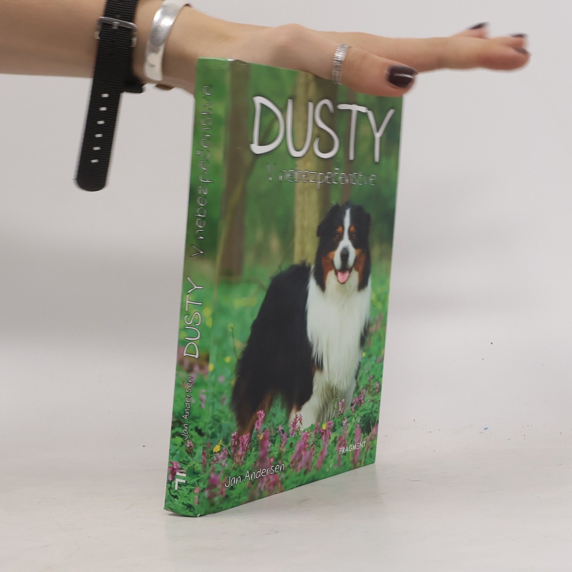 Wolfram Hänel Dusty: V nebezpečenstve