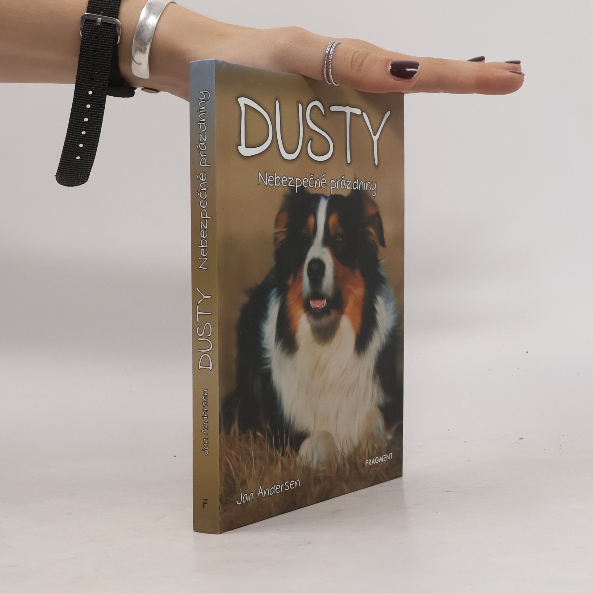 Wolfram Hänel Dusty 5: Nebezpečné prázdniny