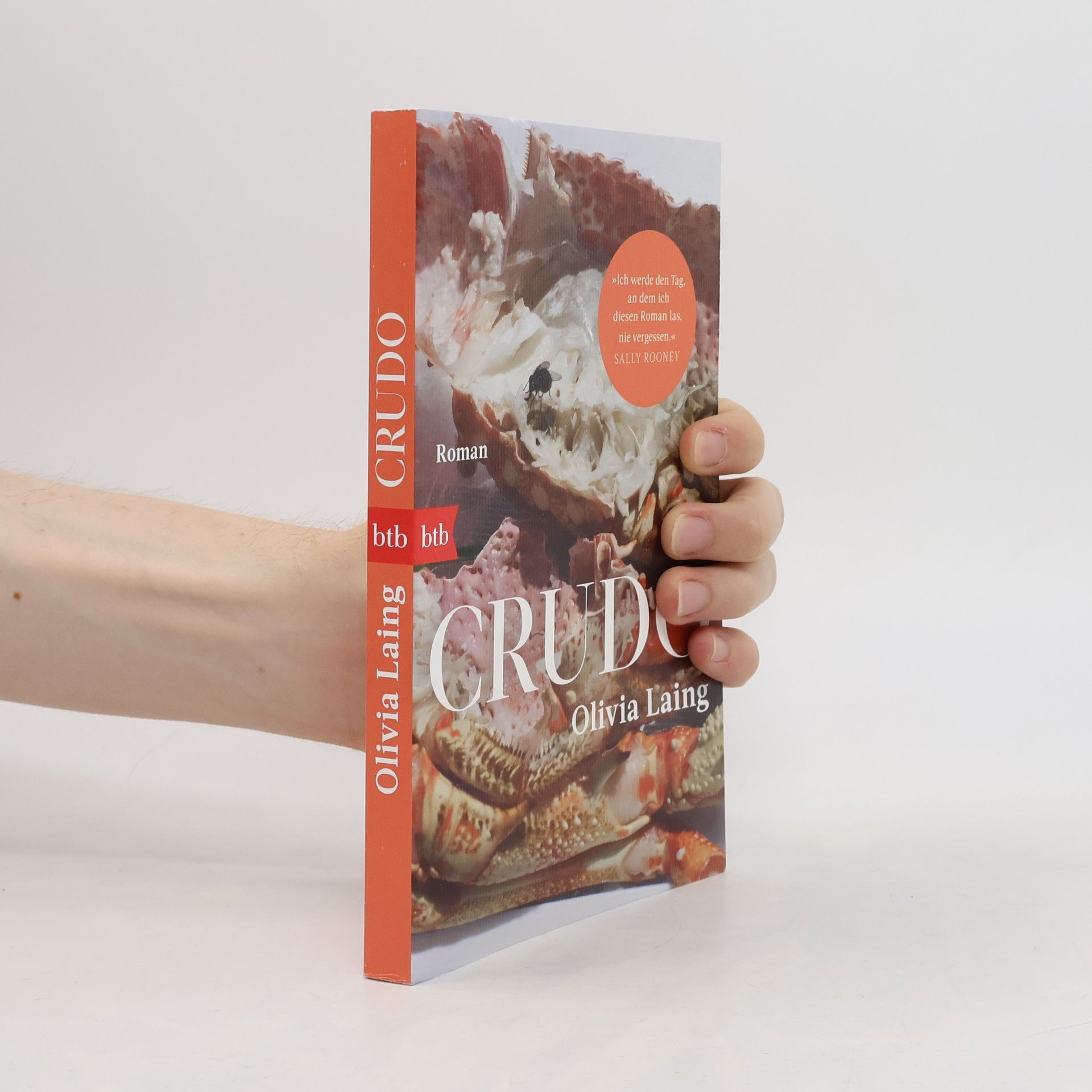 Olivia Laing Crudo: Roman