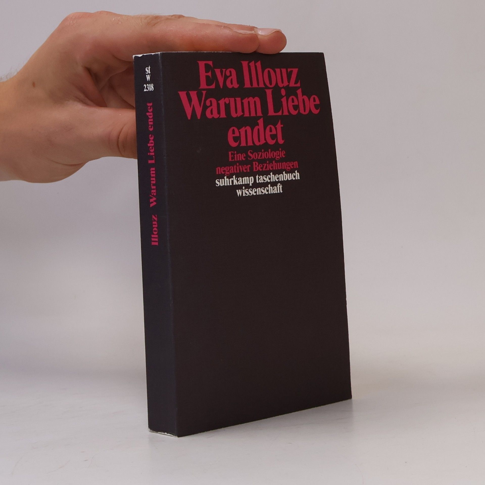Eva Illouz Warum Liebe endet