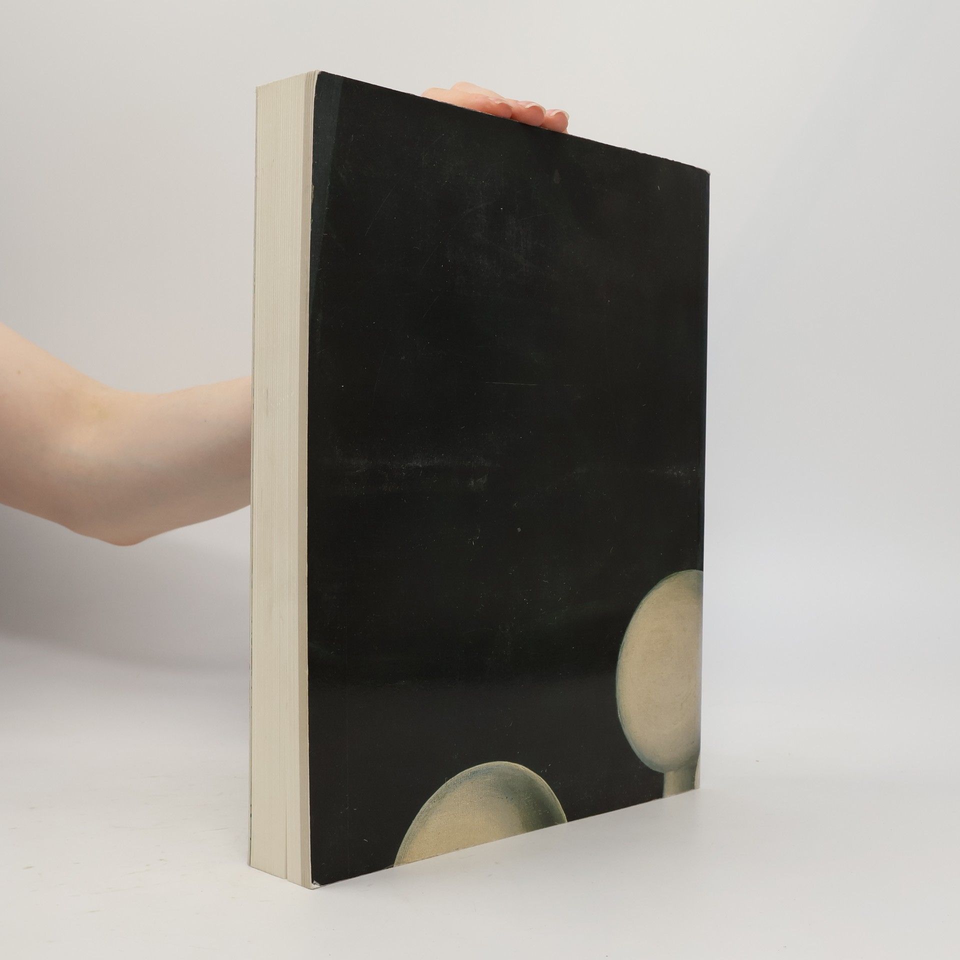 Werner Schmalenbach Bilder des 20. Jahrhunderts