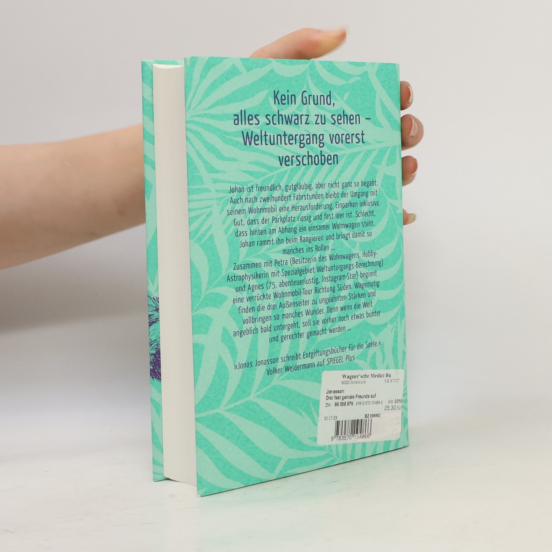 Jonas Jonasson Drei fast geniale Freunde auf dem Weg zum Ende der Welt