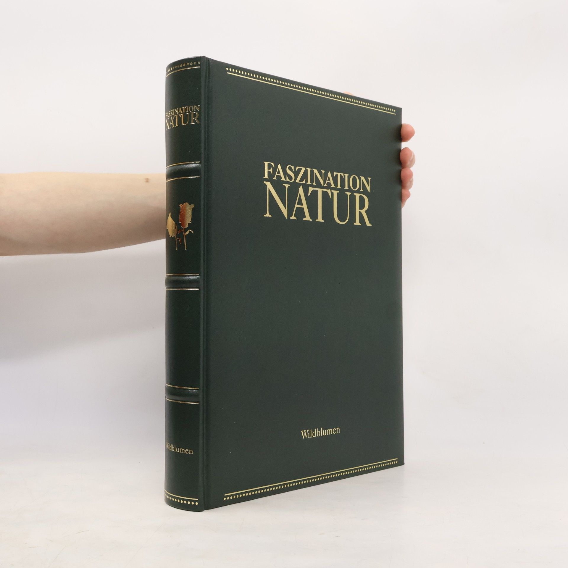 Bernadette Andre Wallis Faszination Natur
